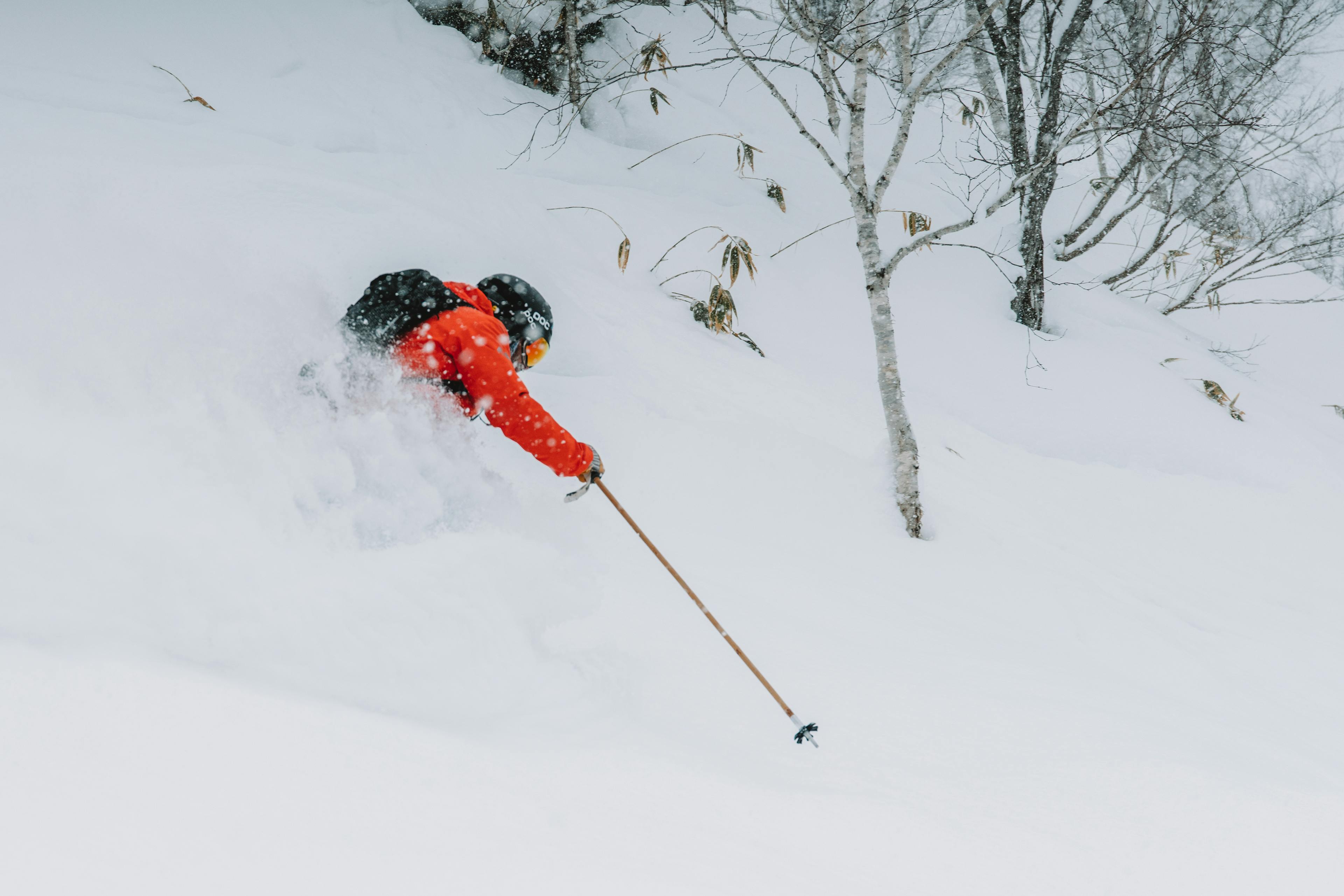 Powder skiing in the trees of Niseko, Japan.