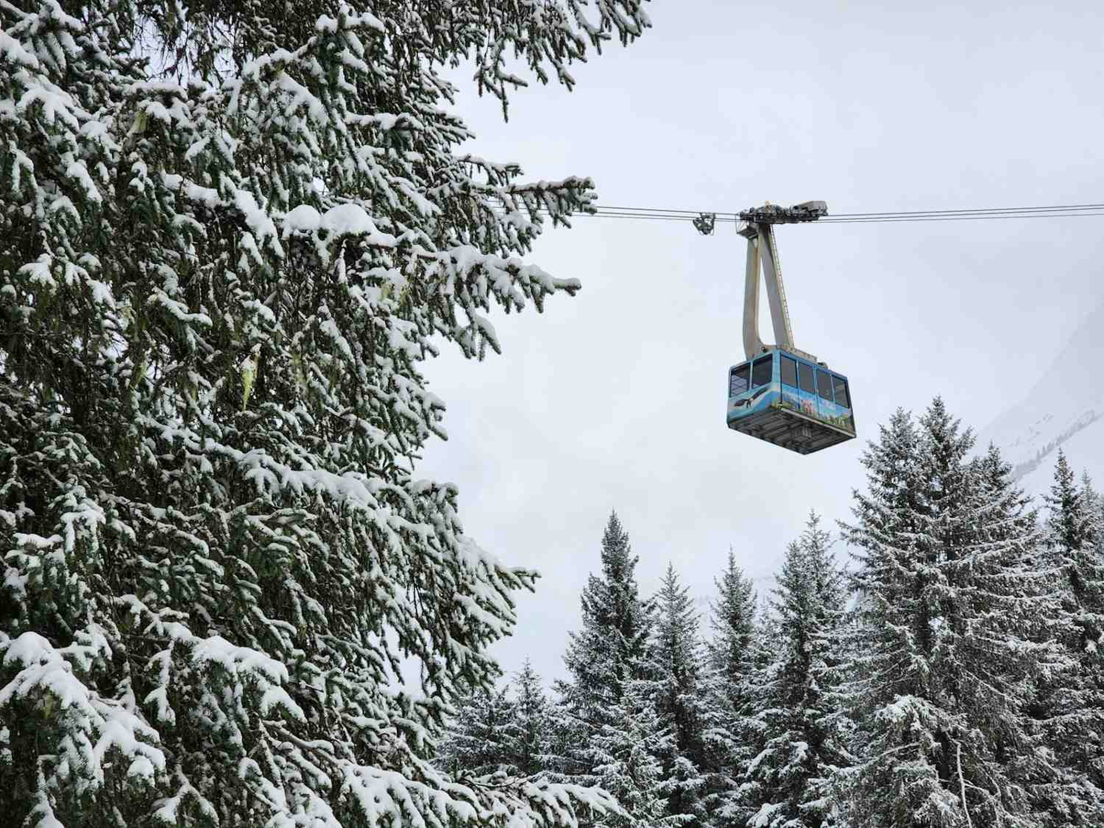 Tram riding high above the glades in Alyeska