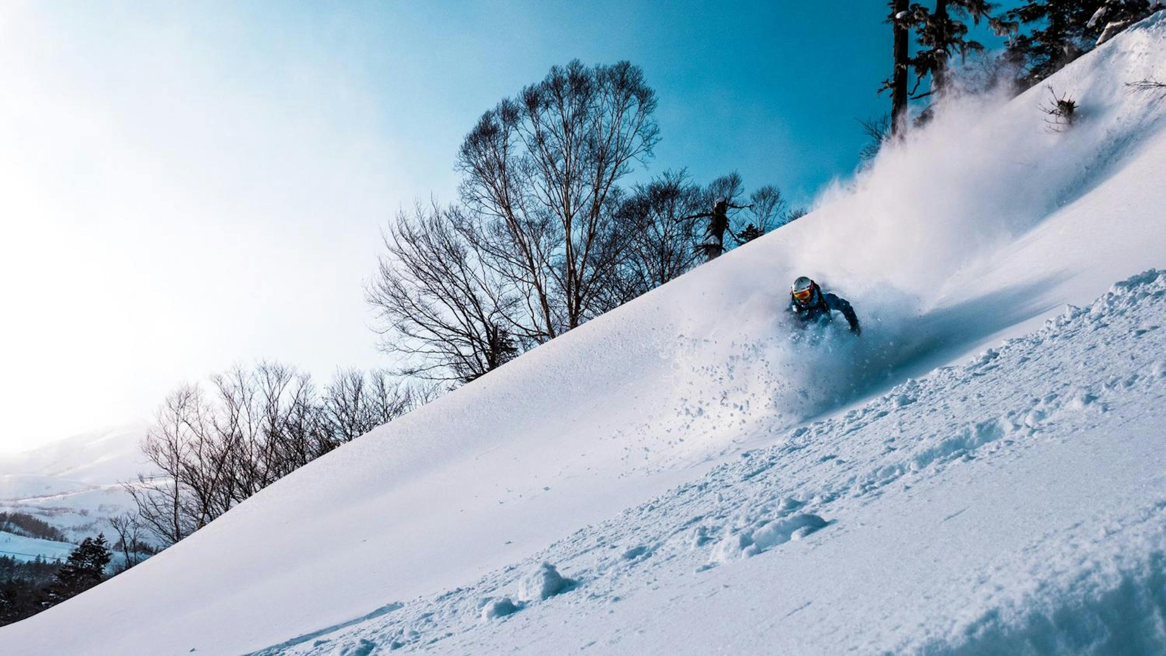 A person skis down a snowy slope in Hakuba, enjoying the fresh powder