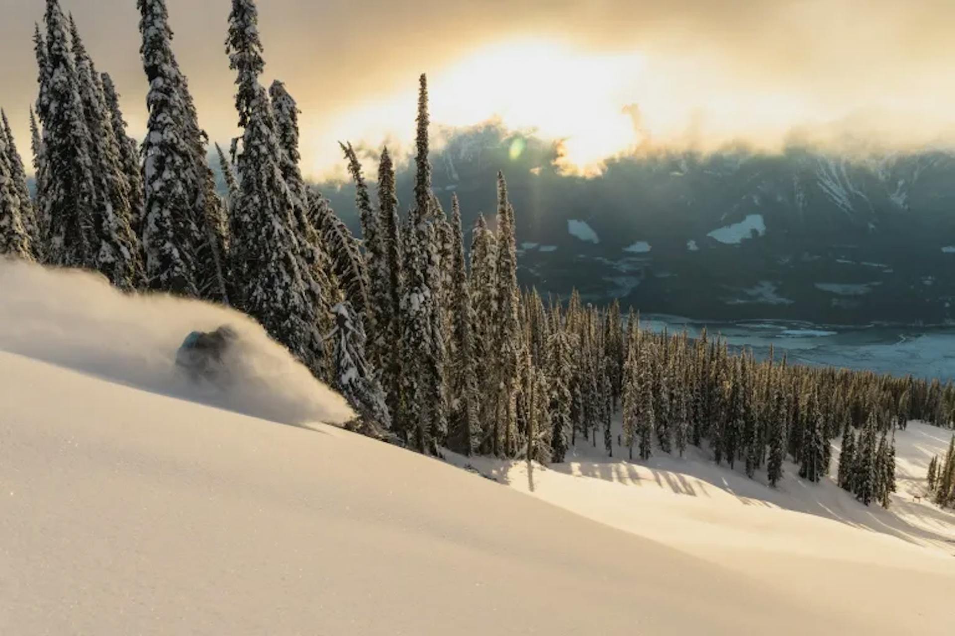 Skier skiing powder at Revelstoke