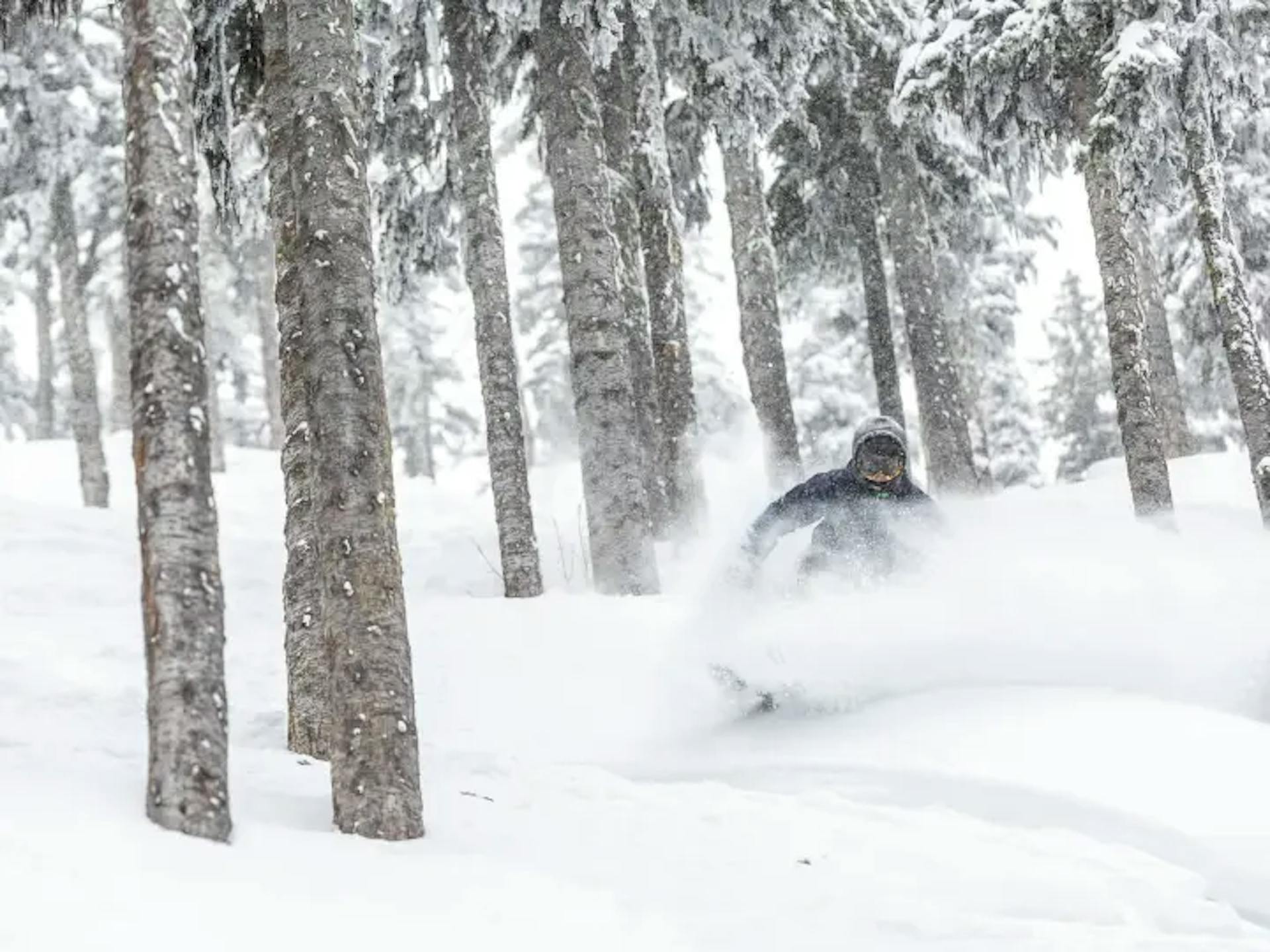 Skier skiing down RED Mountain