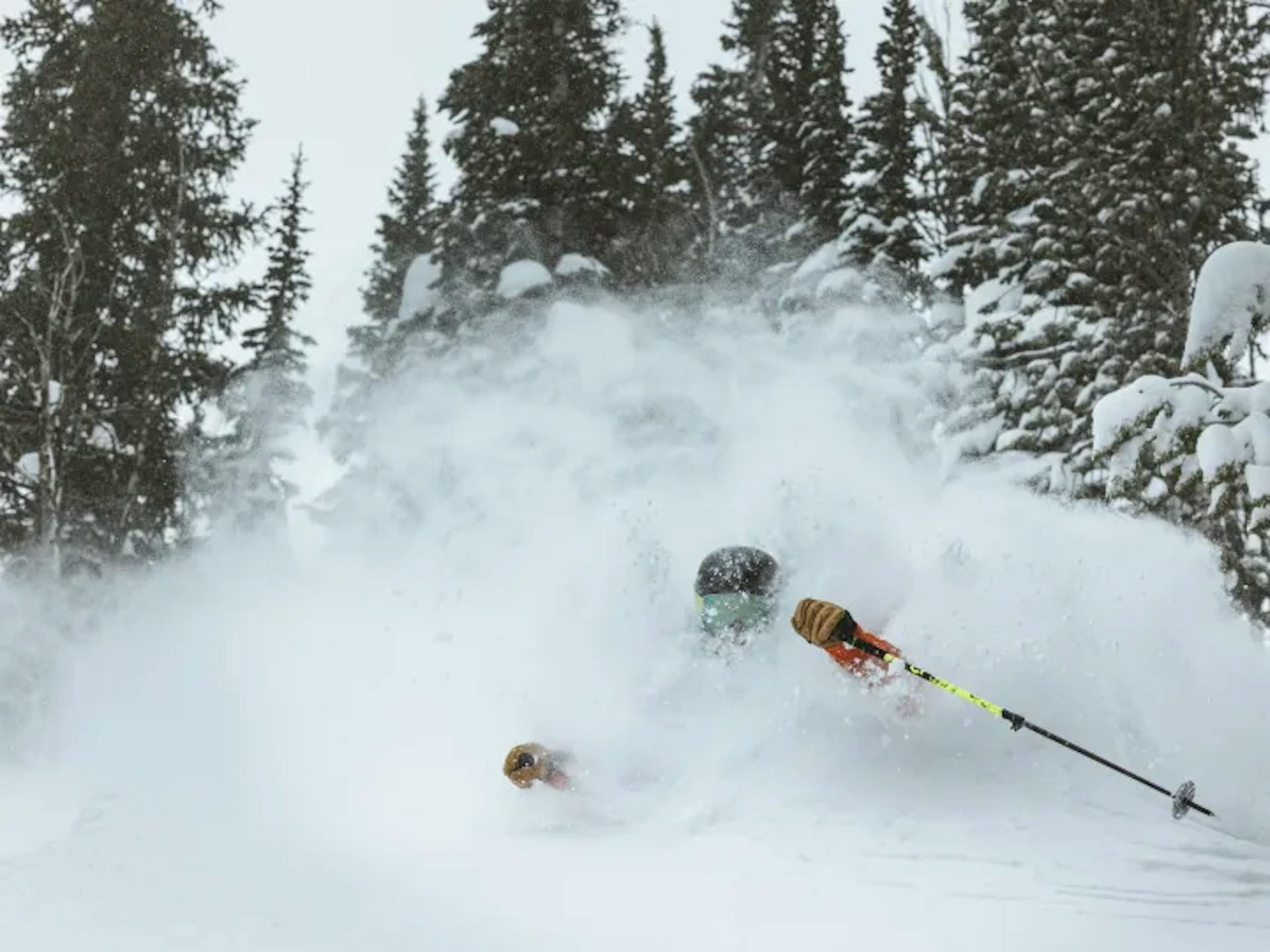 Skier hitting the powder at Jackson Hole