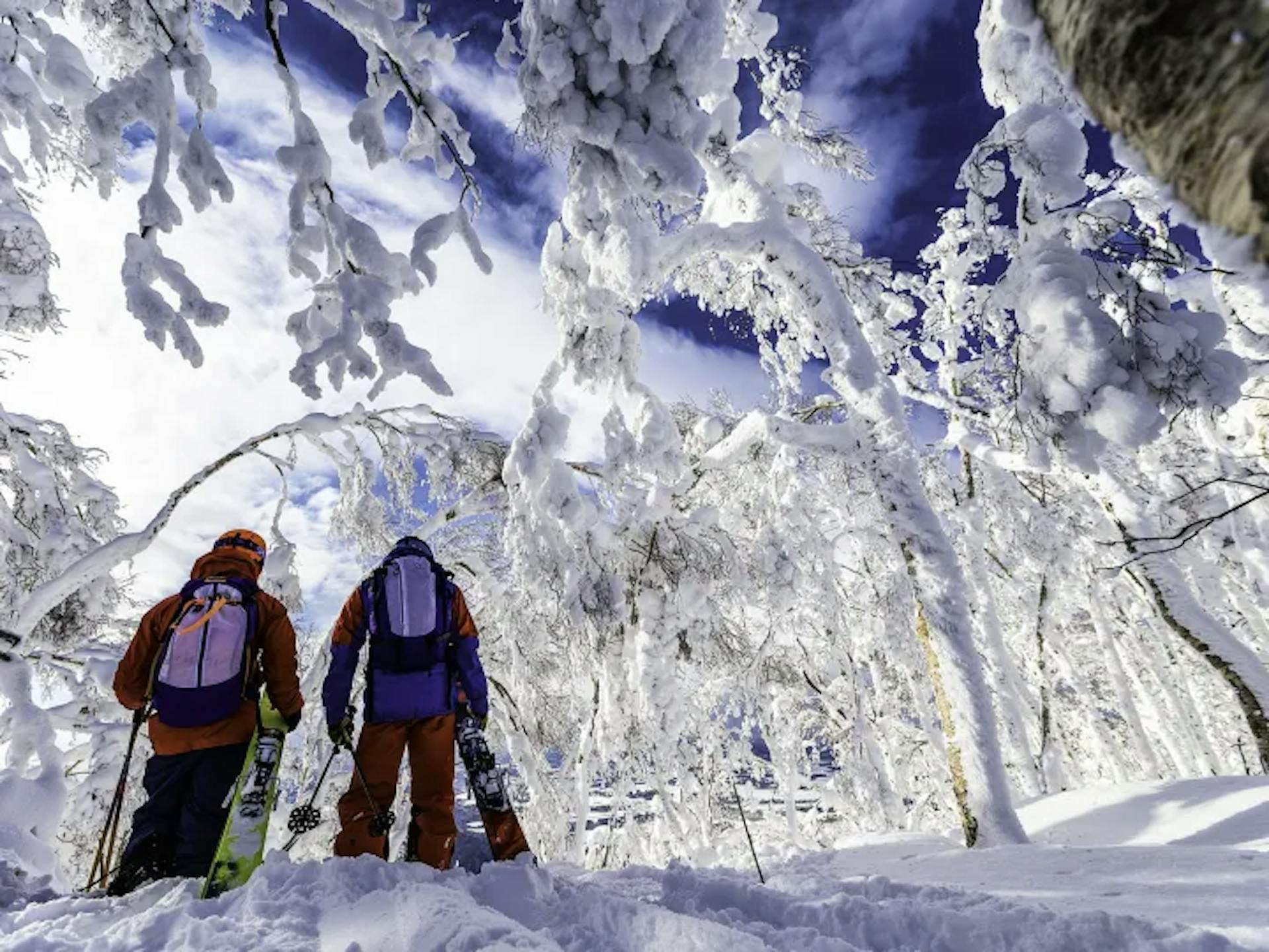 Two skiers enjoying a powdery morning in Japan