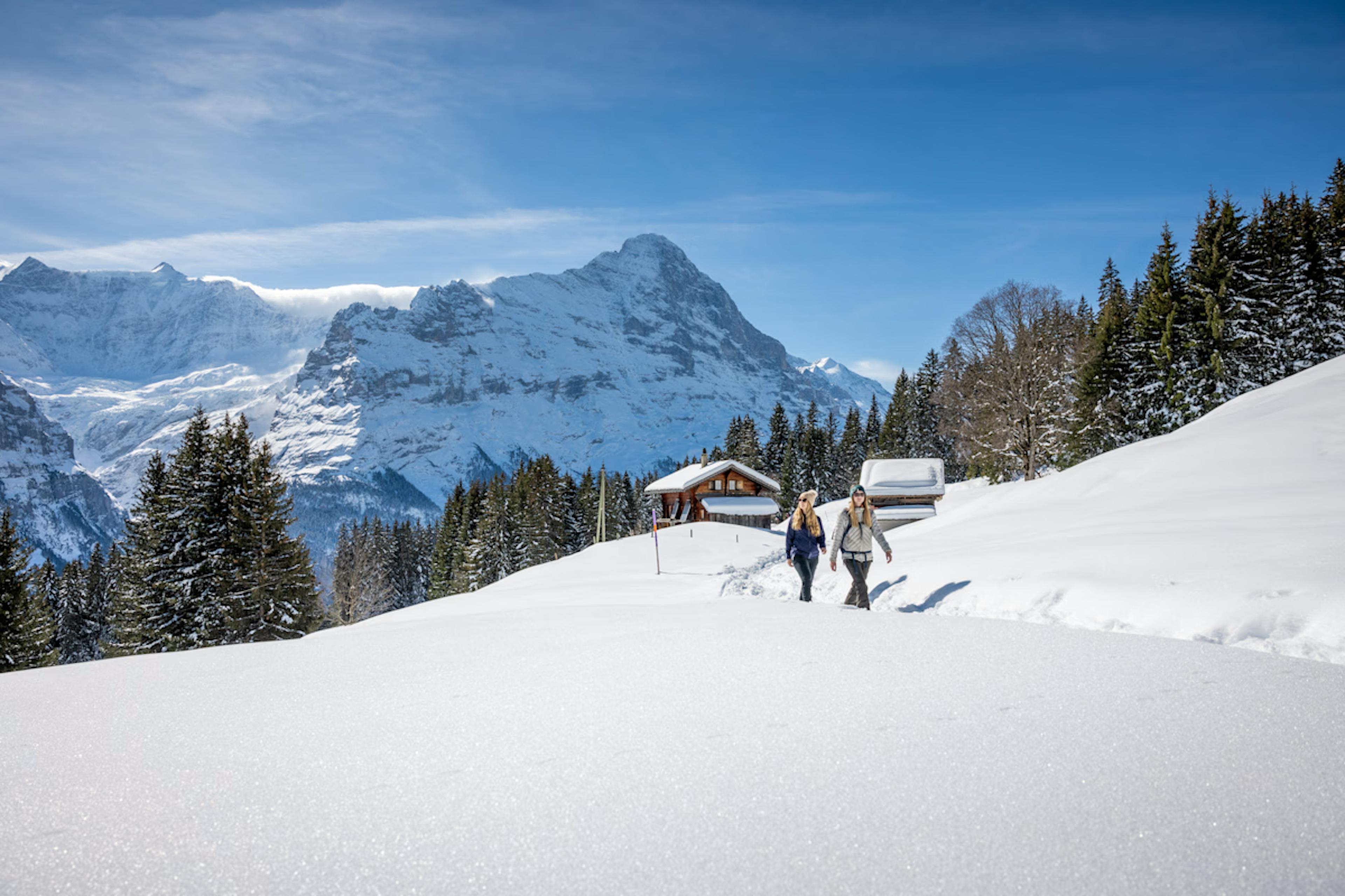 Snowshoeing through the quintessential Swiss villages.