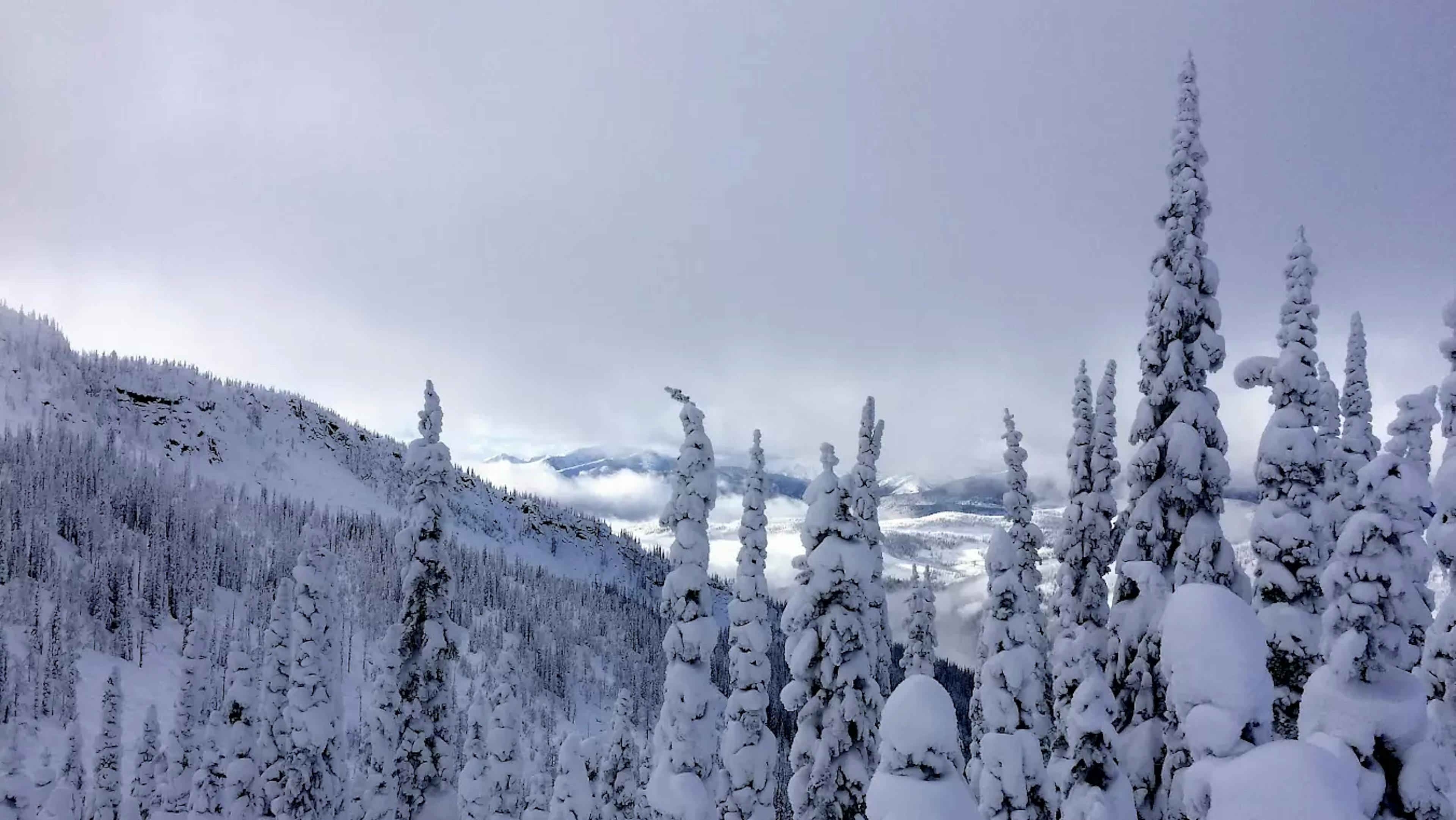 Fresh afternoon powder and snow ghosts at Whitewater