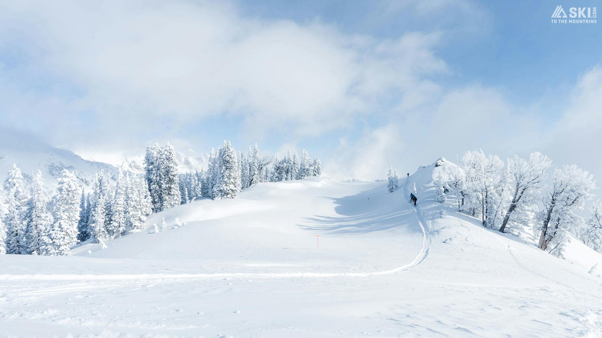 Jackson Hole powder mountain zoom virtual background