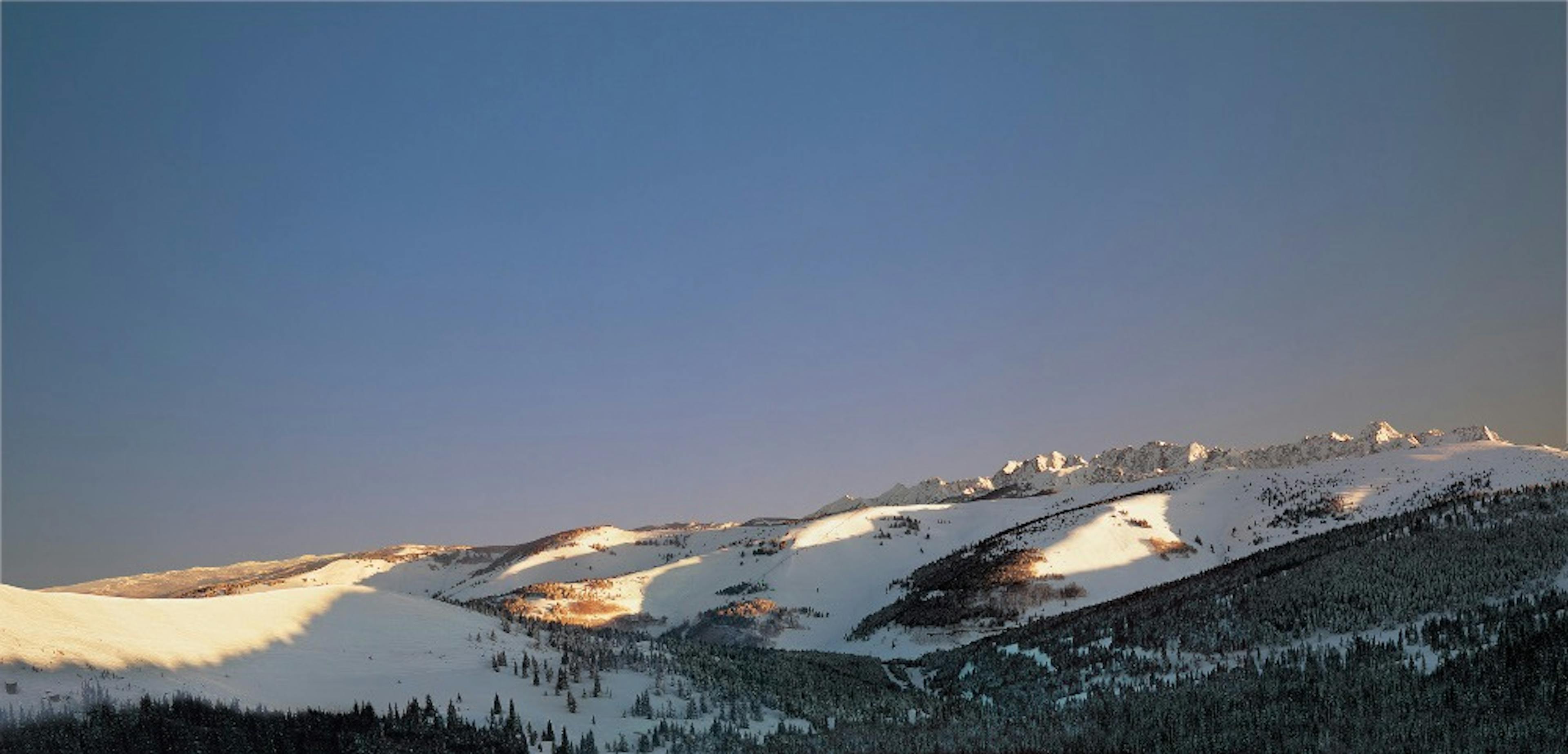 vail backbowls