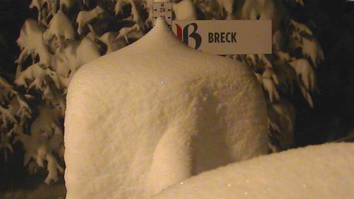 Breck.jpg