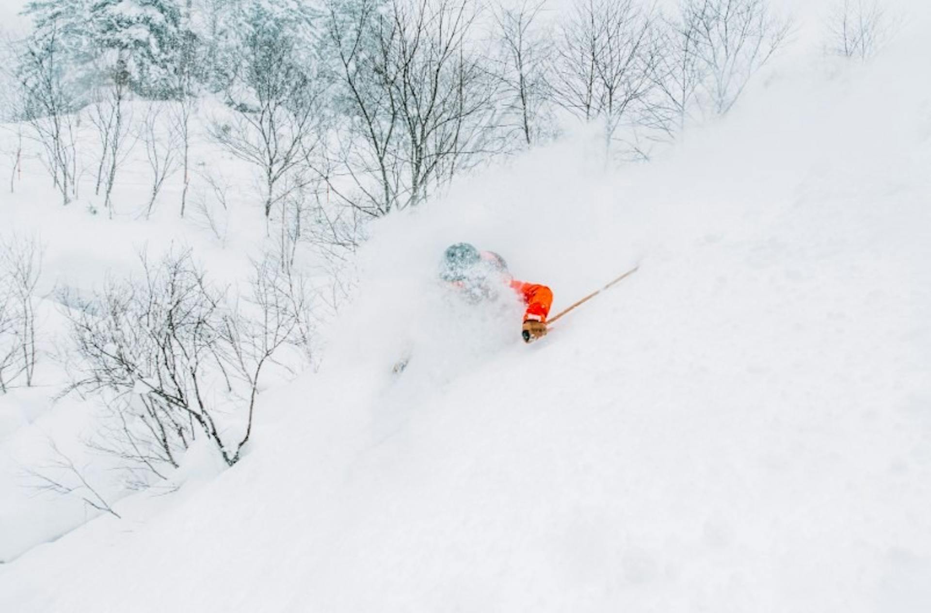 Niseko 4