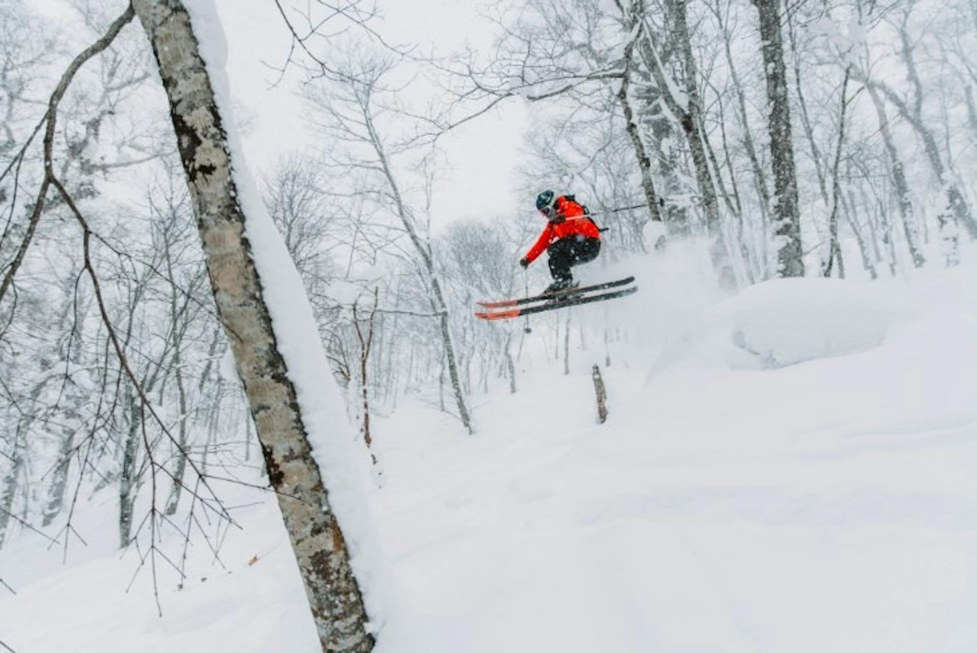 Niseko-3.jpg