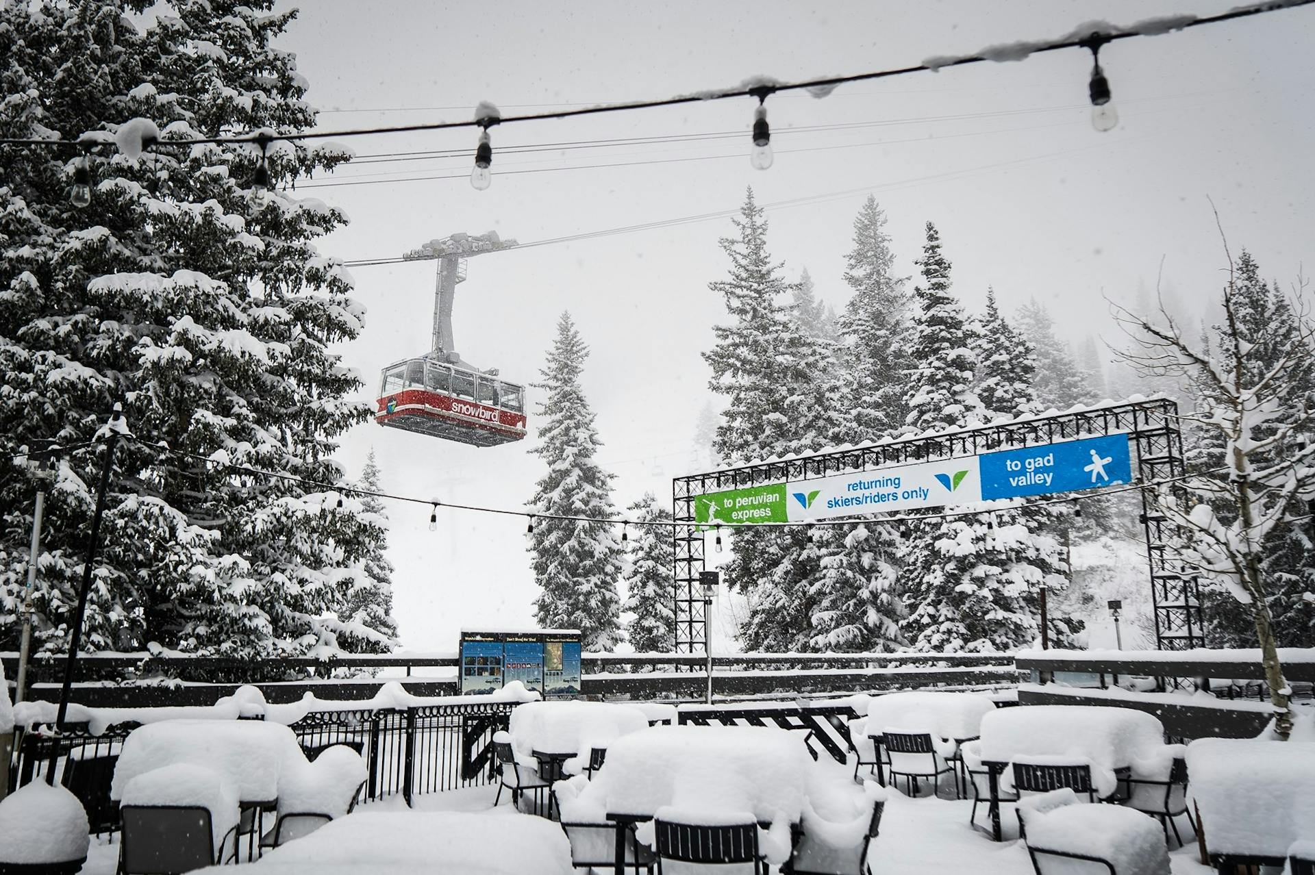 Snowbird resort