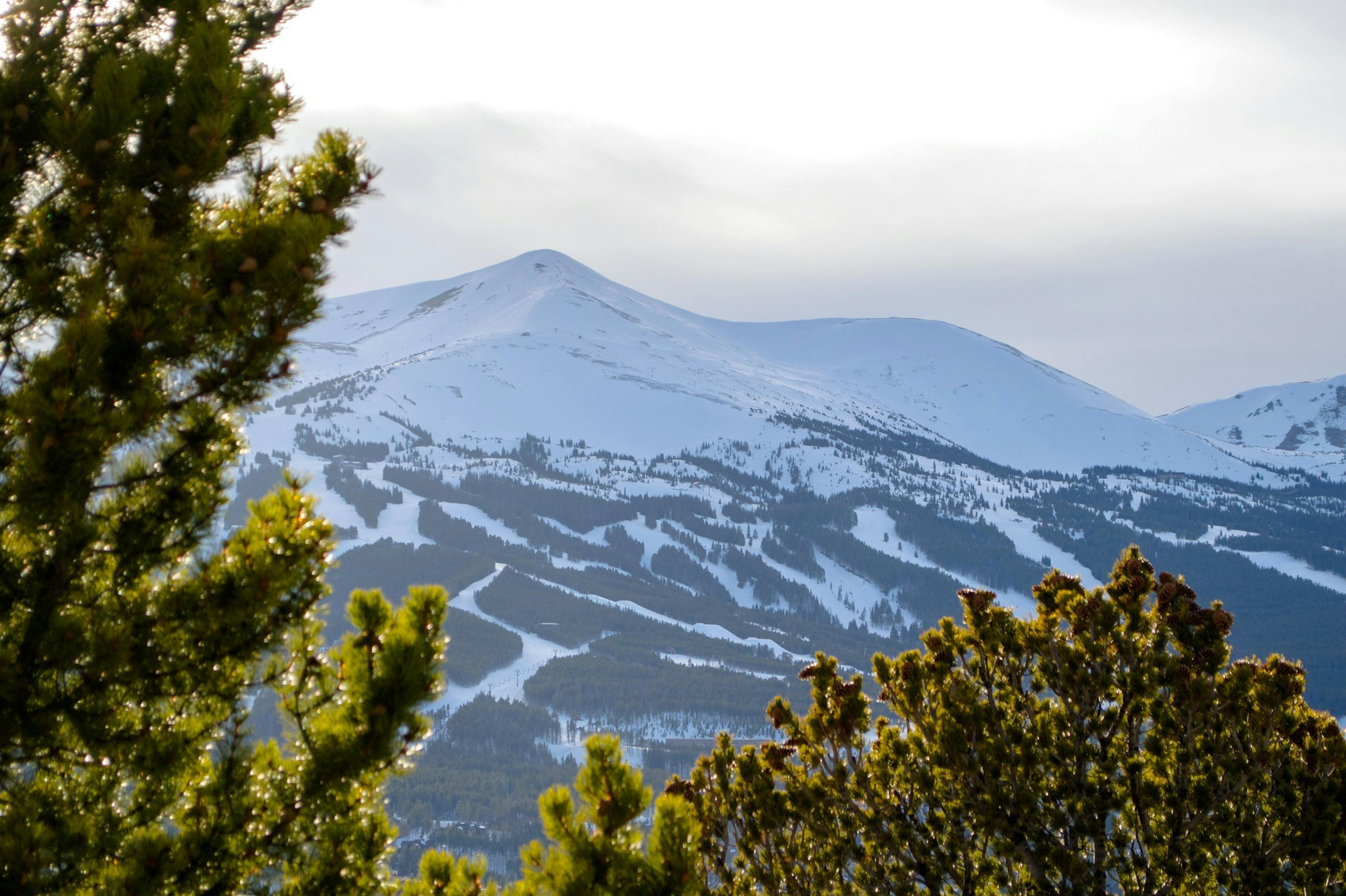 Breckenridge COVID 19 policy guidelines coronavirus