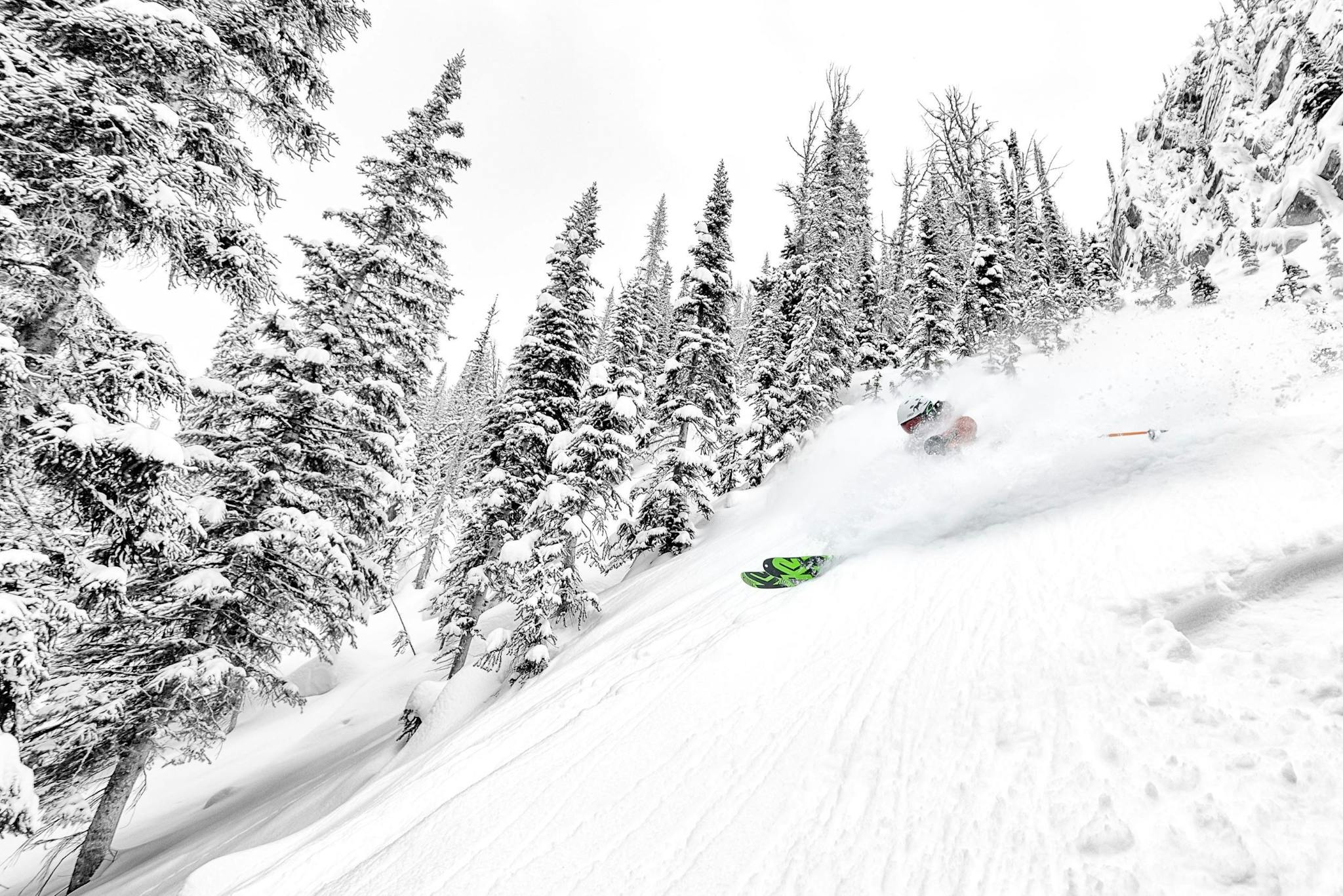 Powder wonderland, a skier's dream