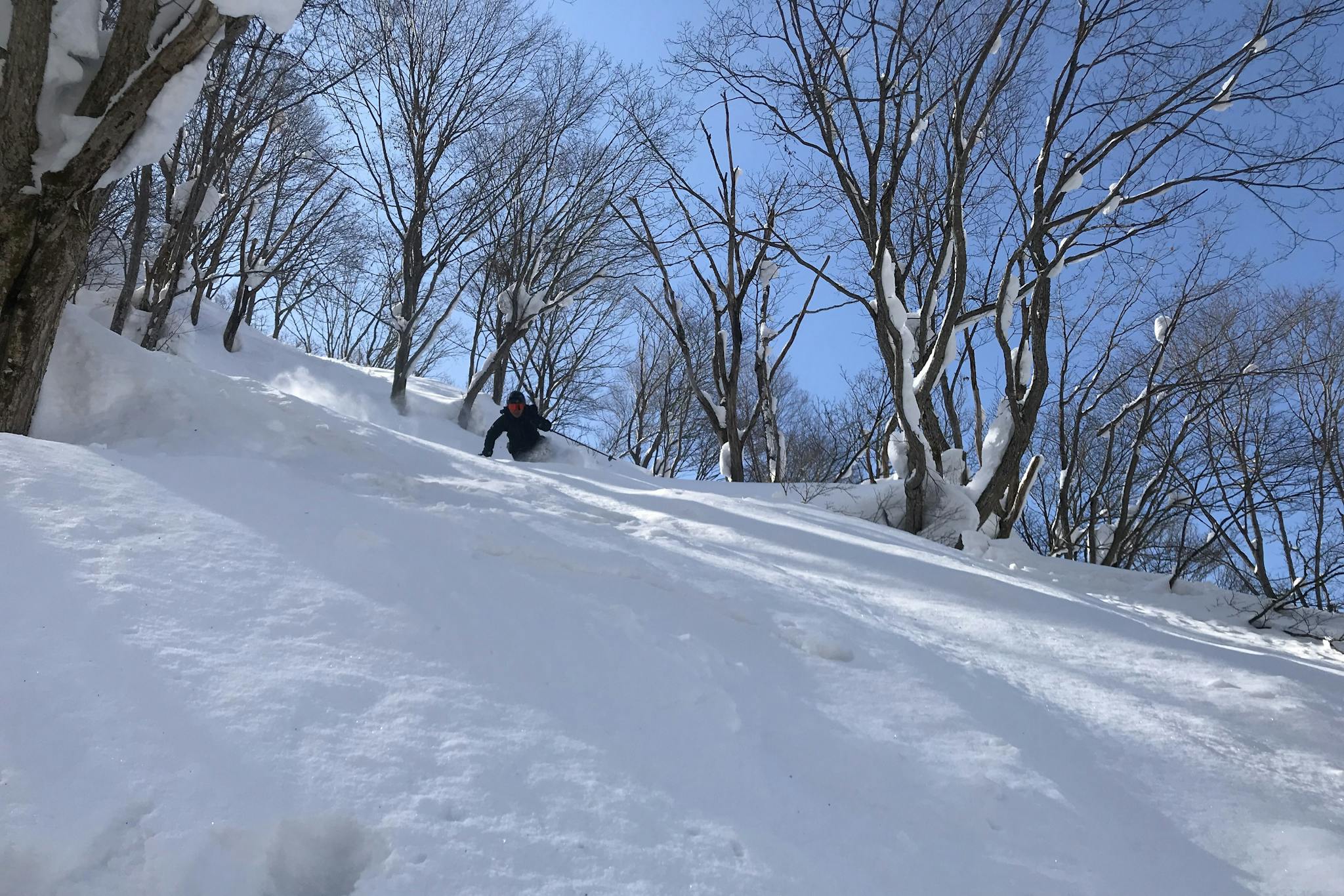 japanese alps snow, nagano snow, snowfall japan