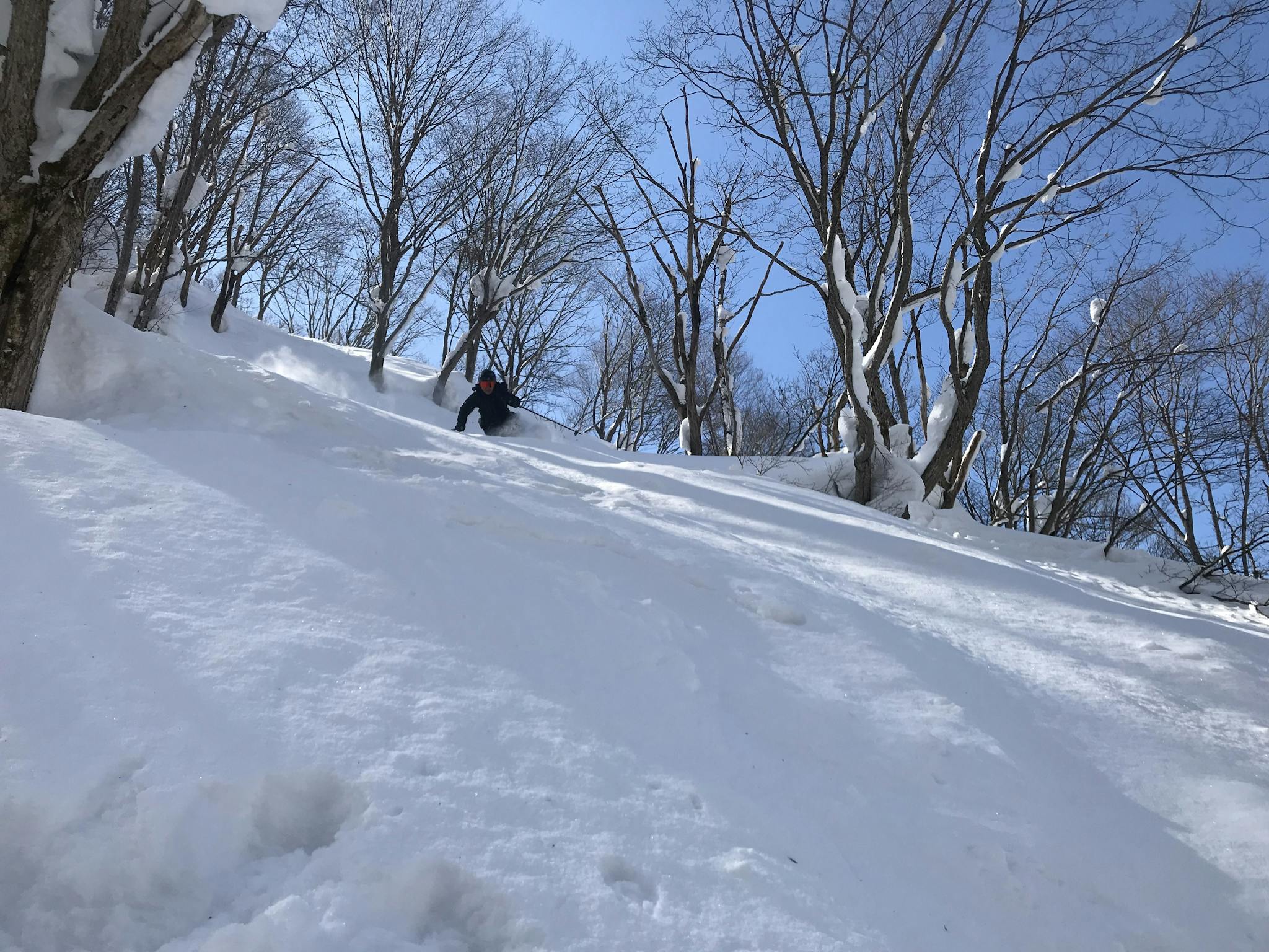 japanese alps snow, nagano snow, snowfall japan