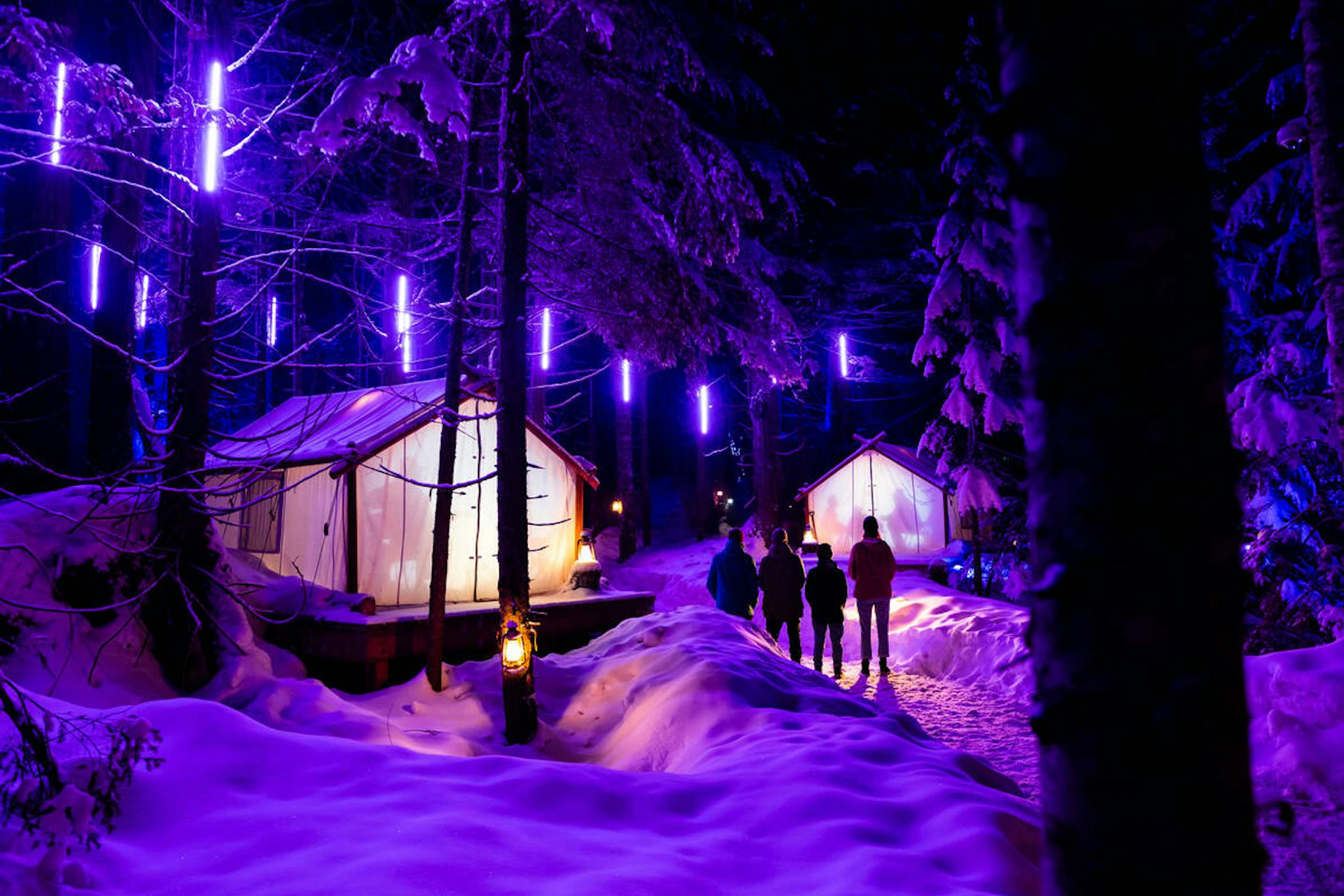 Whistler light show