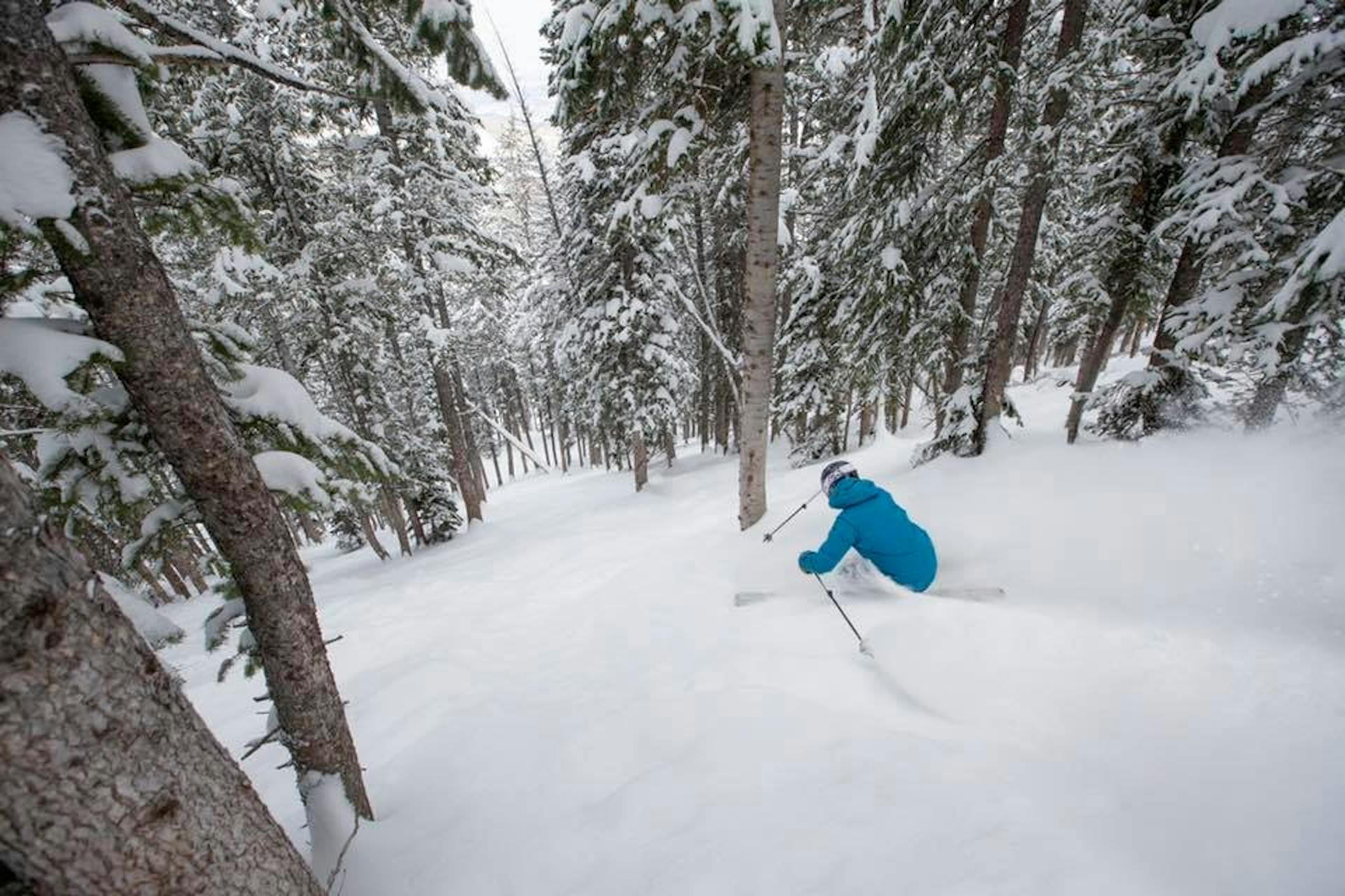 Deer Valley ski terrain guide, where to ski at deer valley