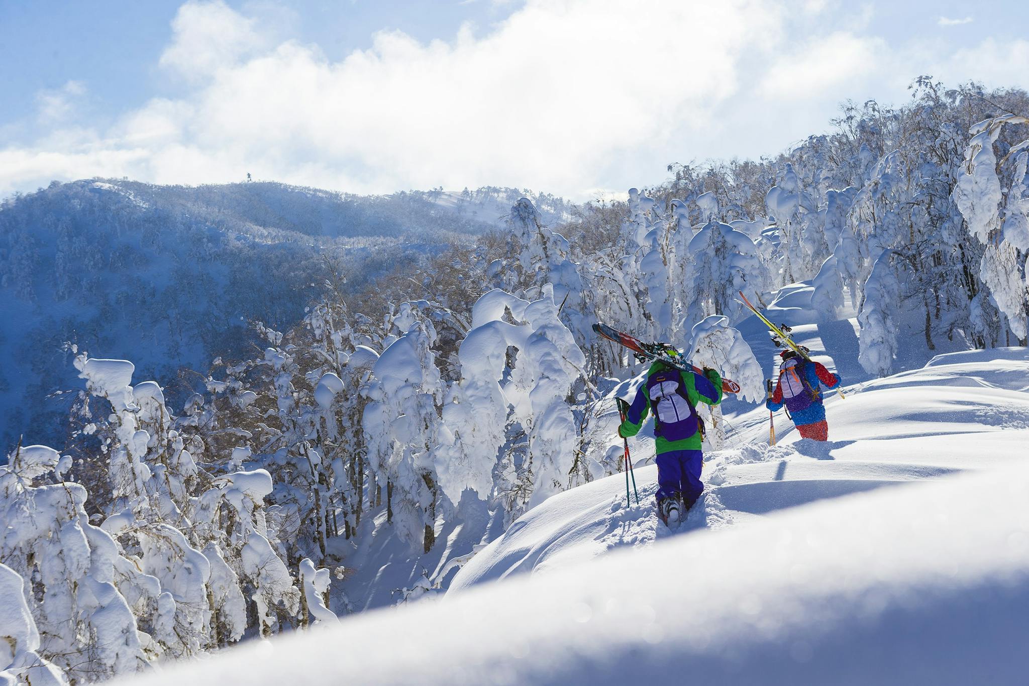 Skiers in Japan on a guided ski vacation