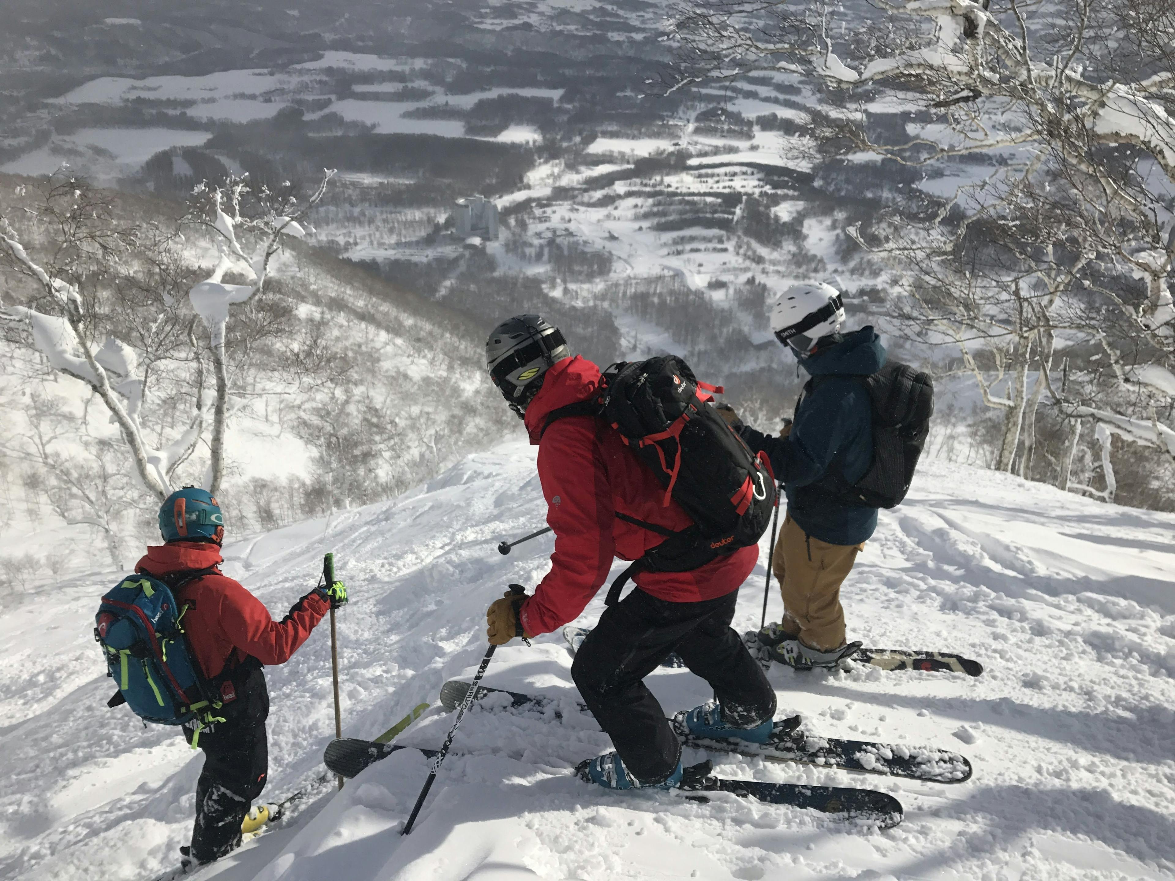 japan tree skiing, hokkaido tree skiing