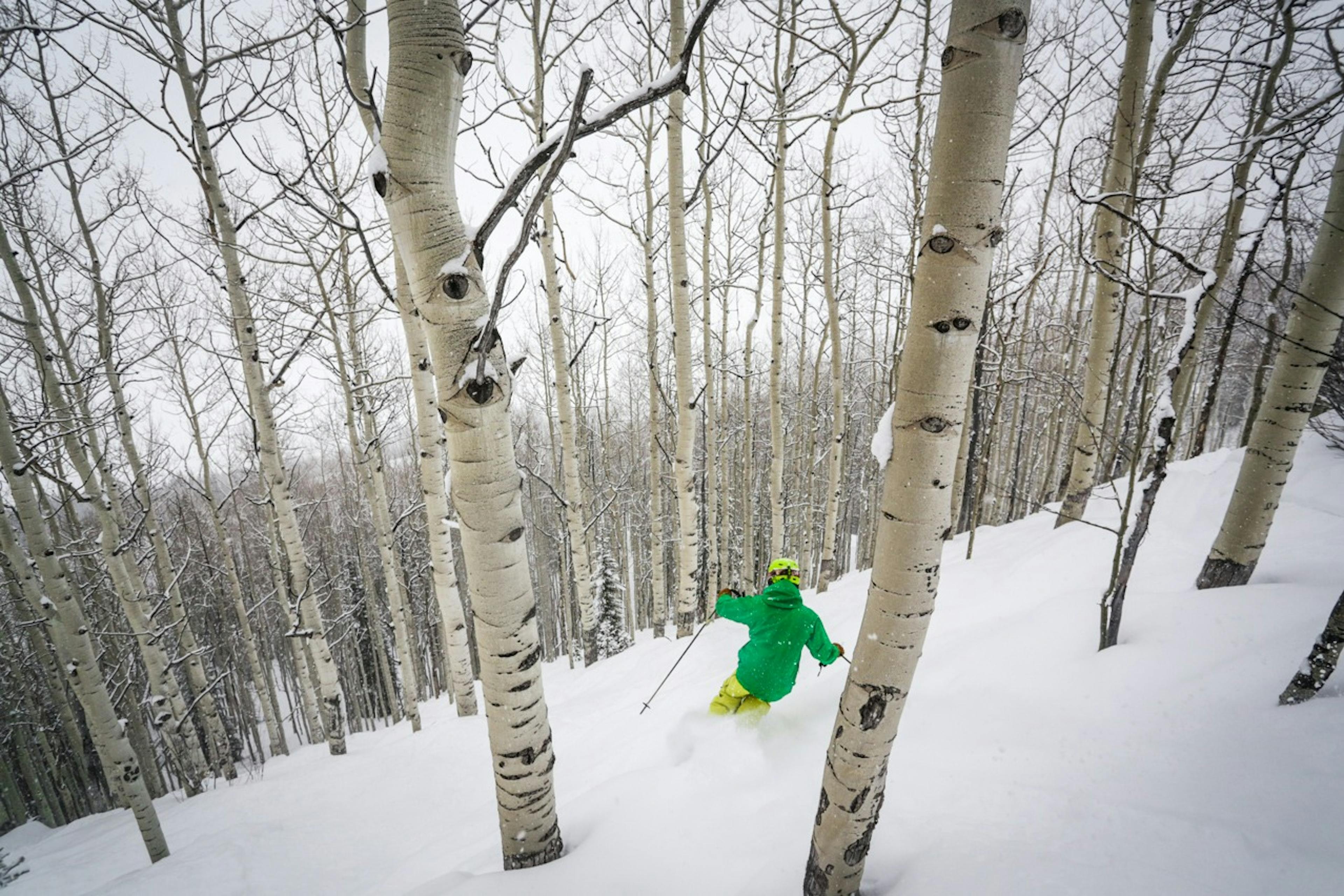 Crested Butte tree skiing, Crested Butte glades