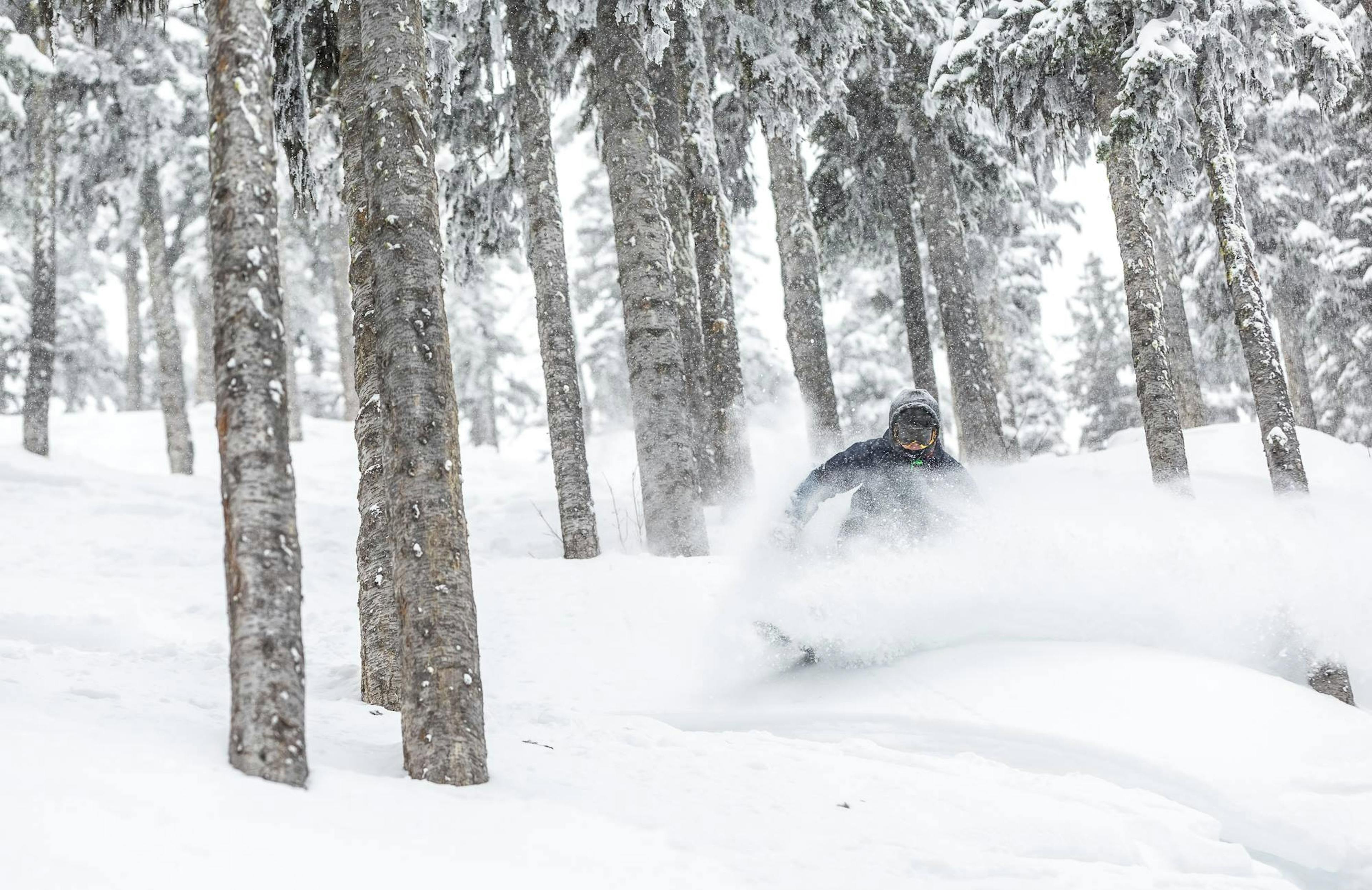 Red Mountain tree skiing, red mountain glades, granite ridge red mountain