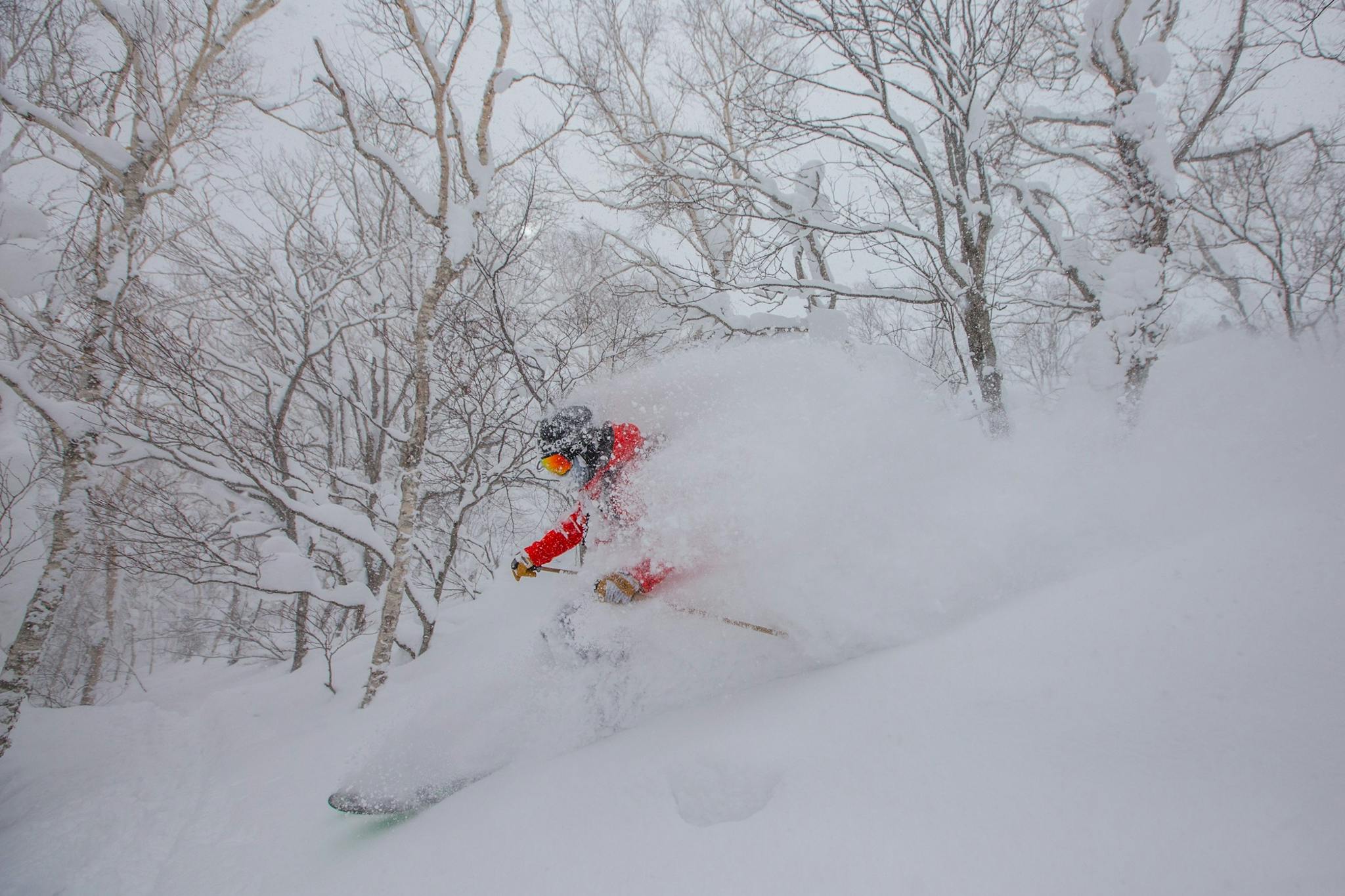 niseko skiing, niseko snow