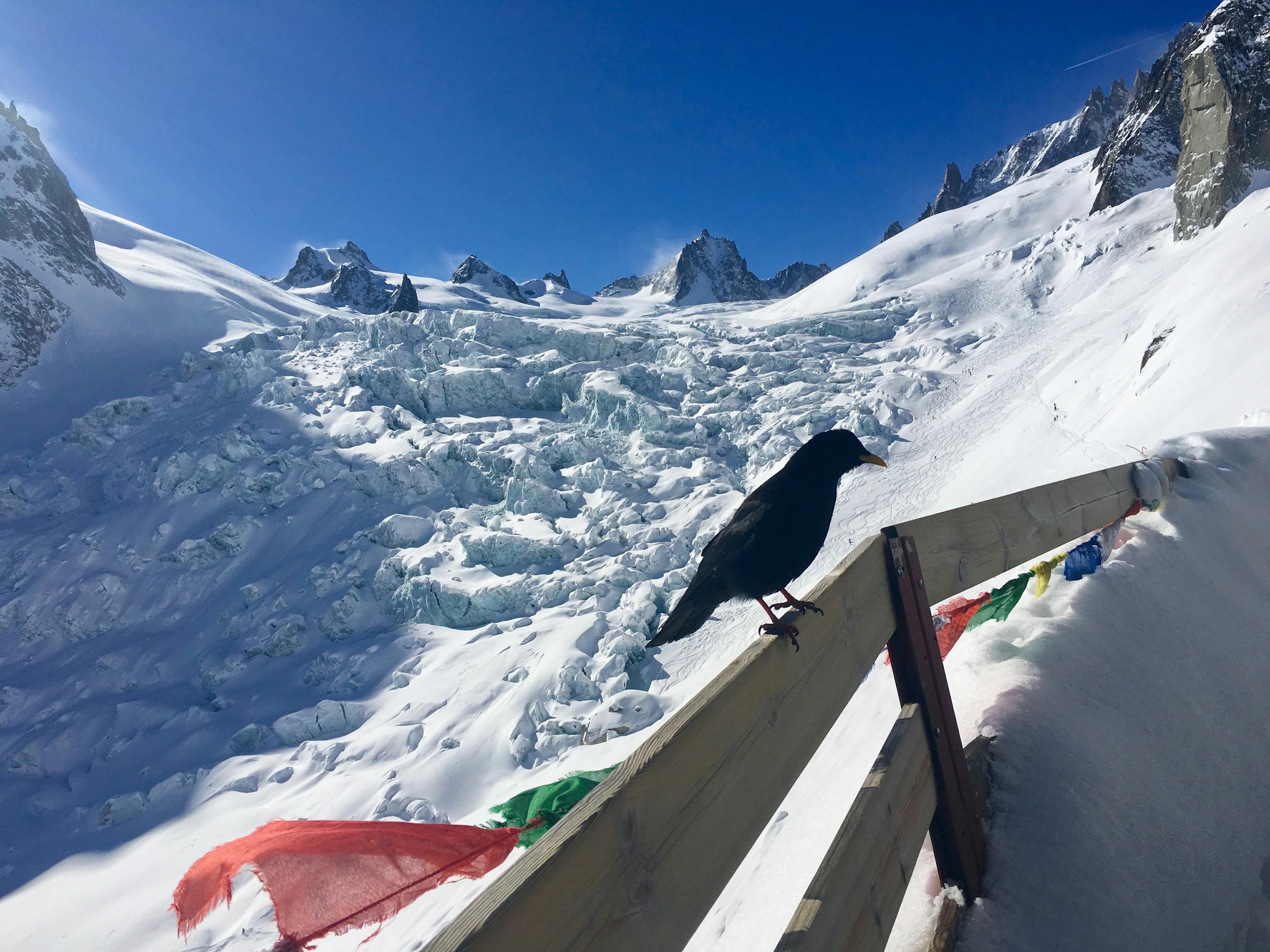 Chamonix, Mer de Glace Vallee Blanche