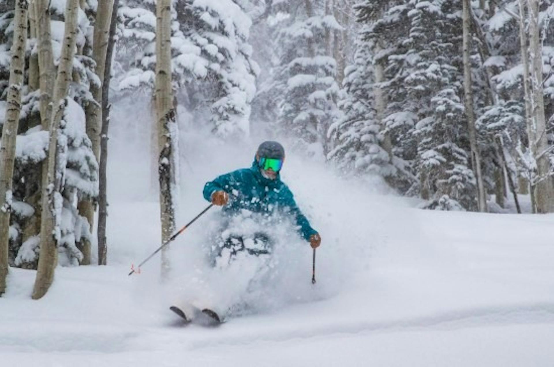 Aspen-2.jpg