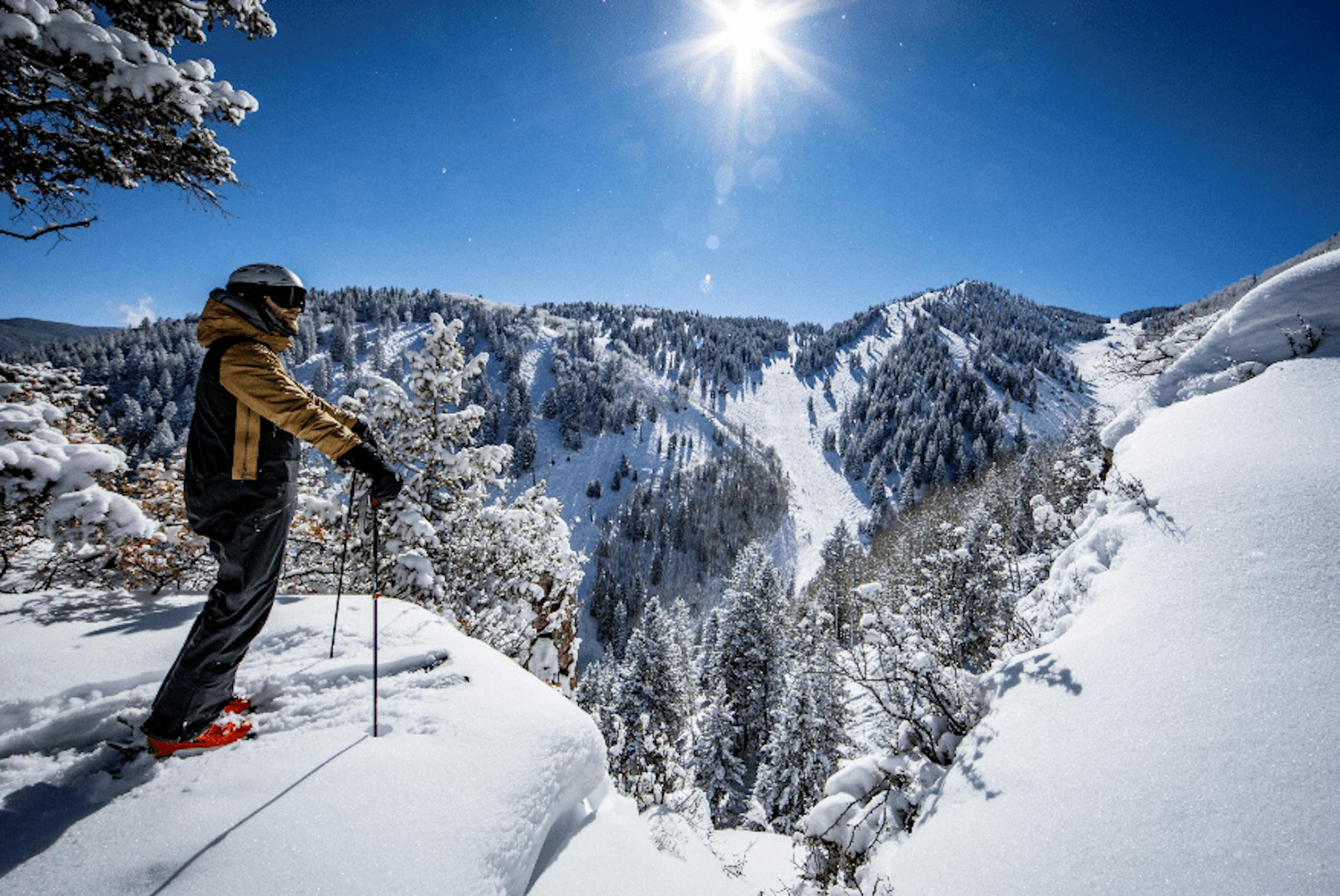 Aspen.png