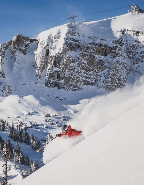 jackson-hole-skiing.png