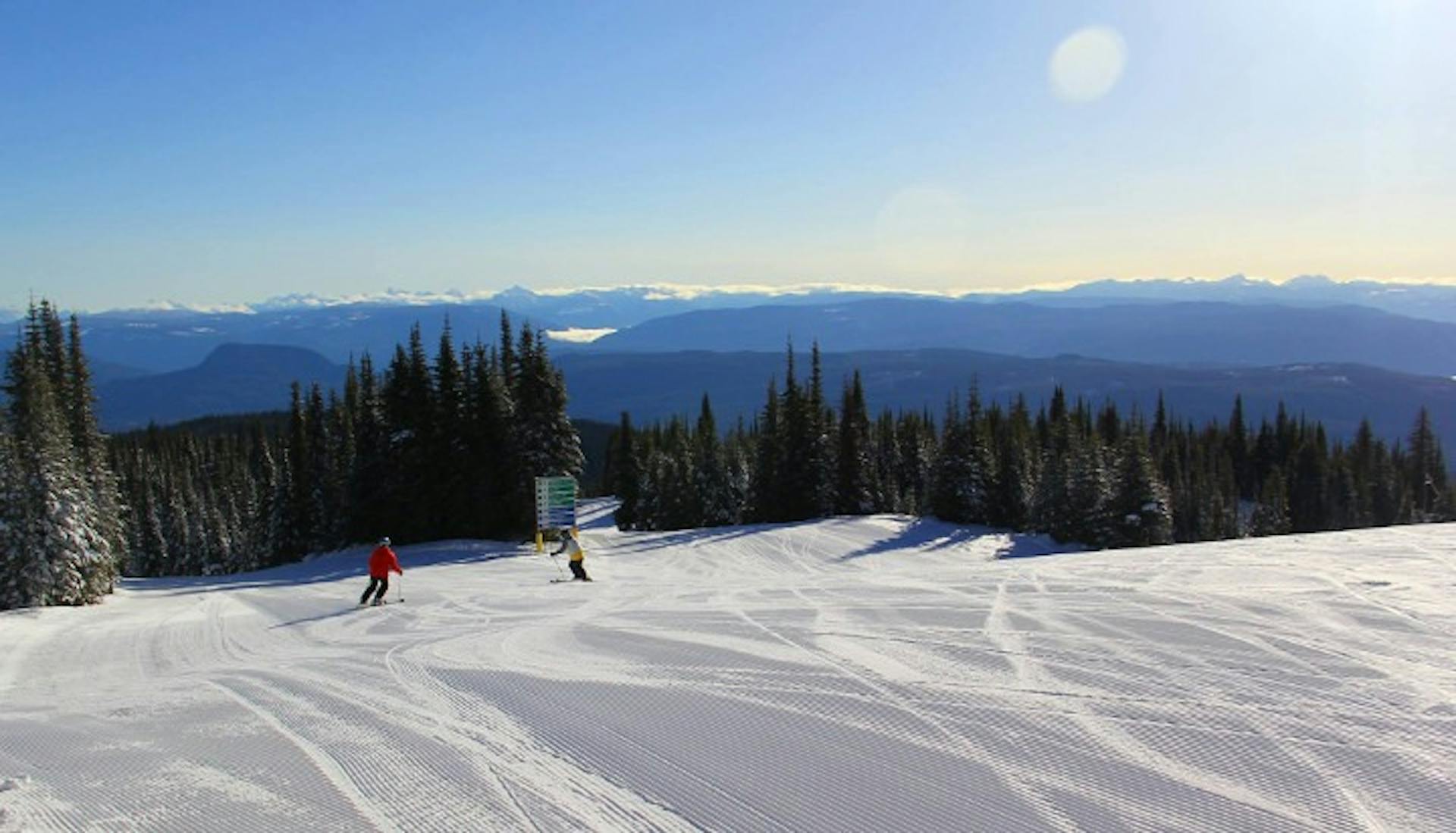 Silver Star groomers