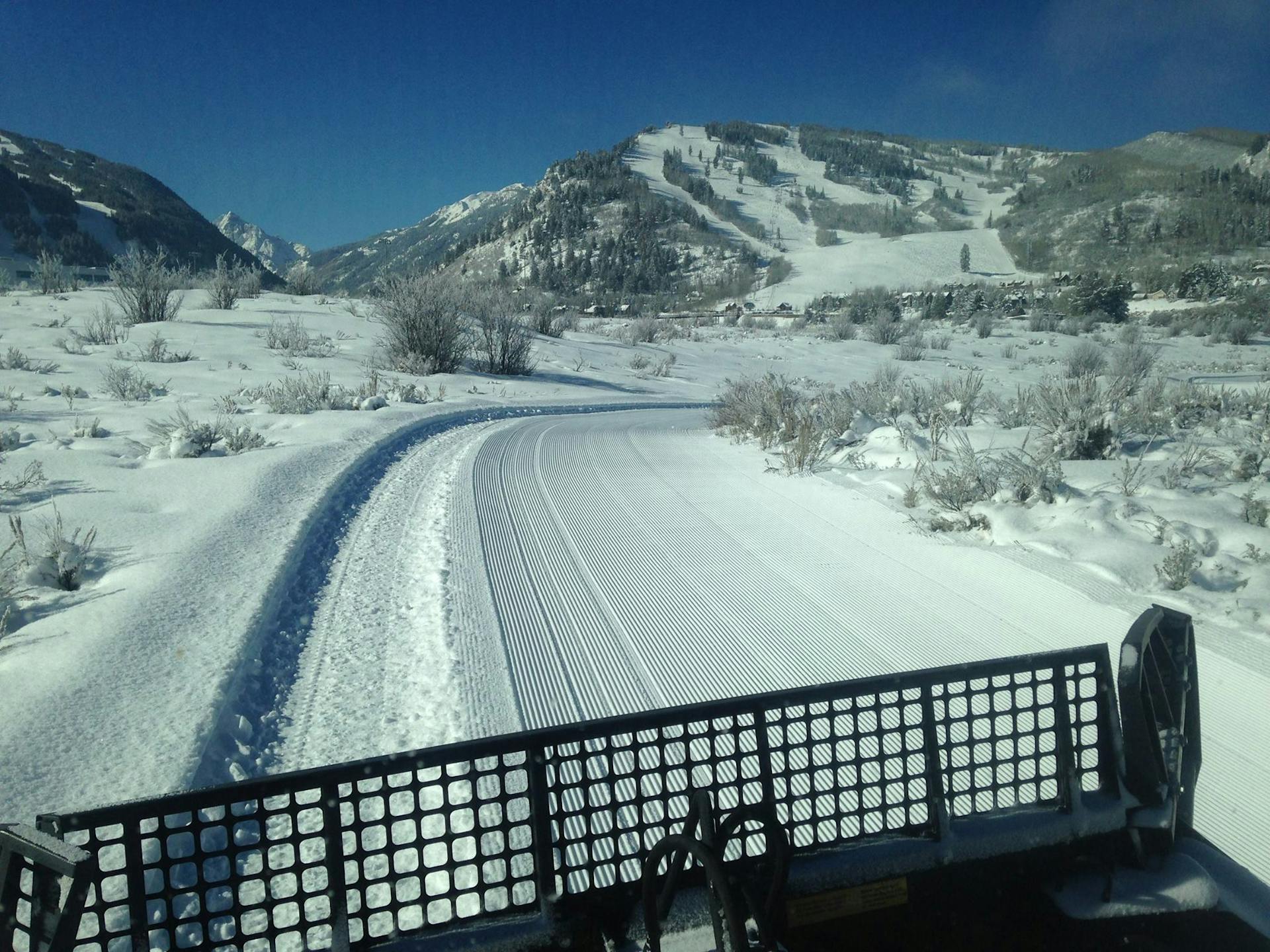 aspen tree skiing, snowmass tree skiing, aspen highlands tree skiing