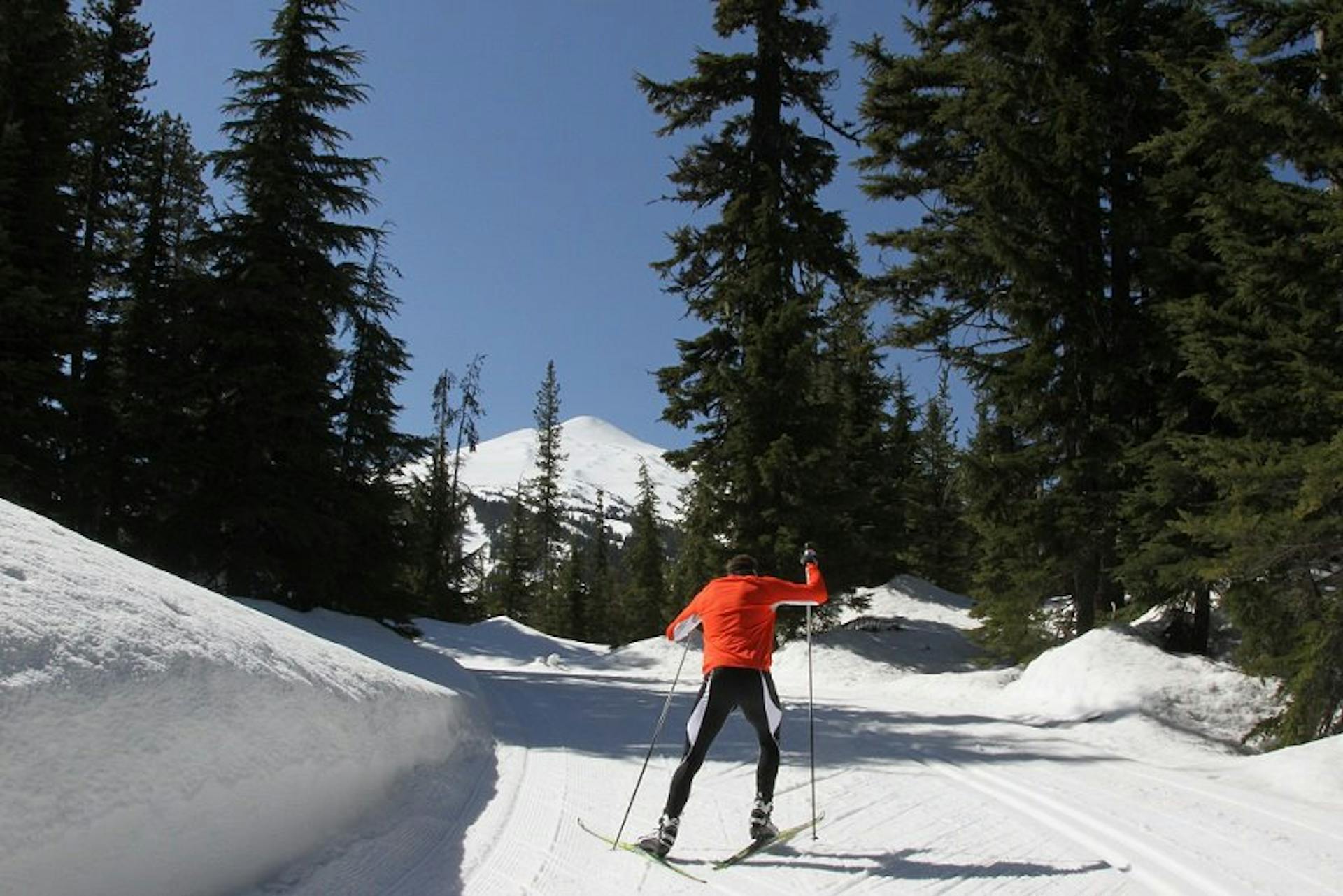 Mt. Bachelor cross country, Mt. Bachelor Nordic