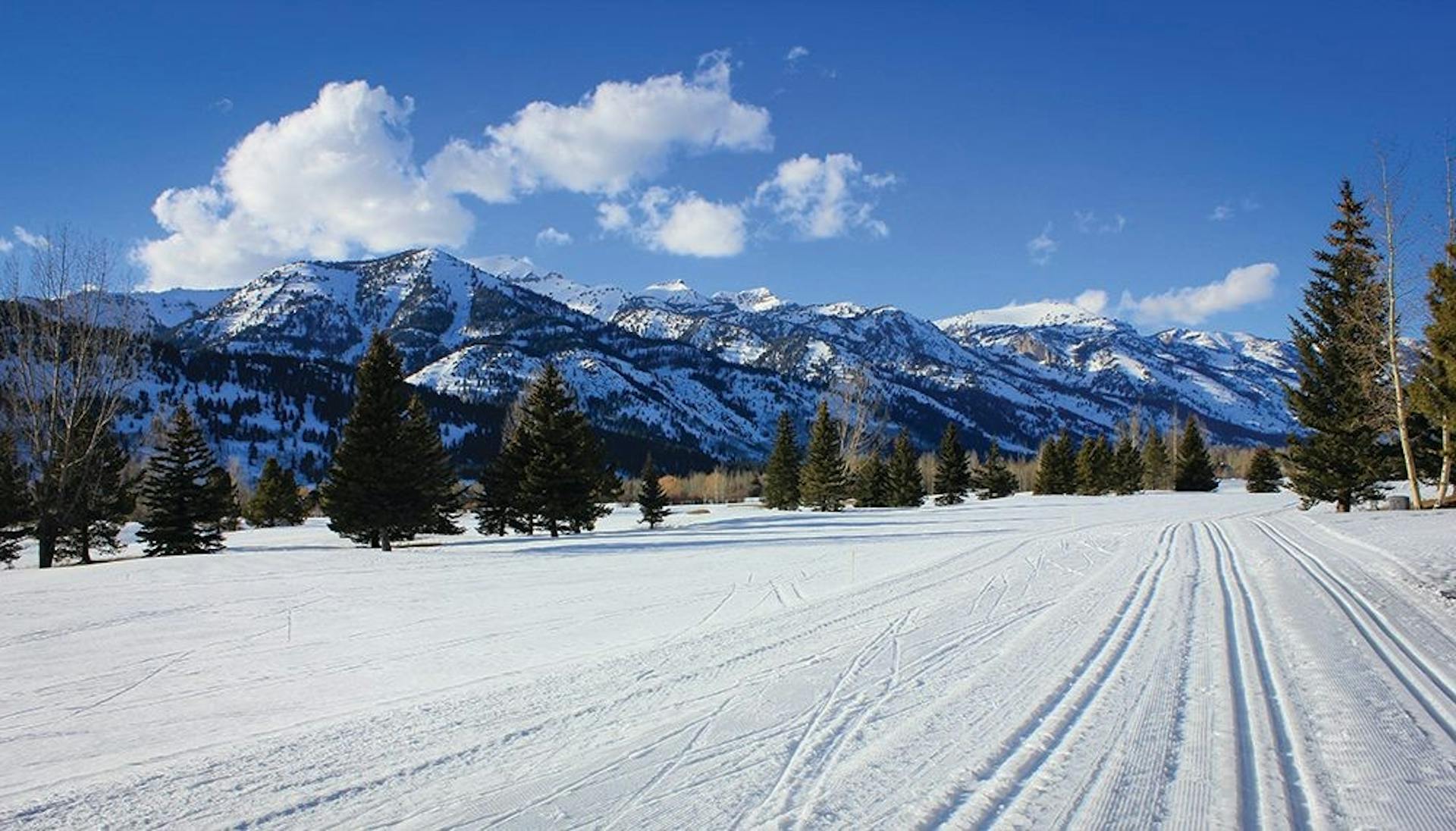 Jackson Hole cross country, Teton Pines Nordic