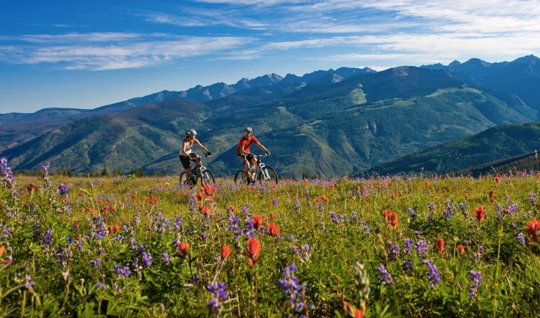 a couple mountain biking a flat trail through a field of wildflowers surrounded by alpine mountains