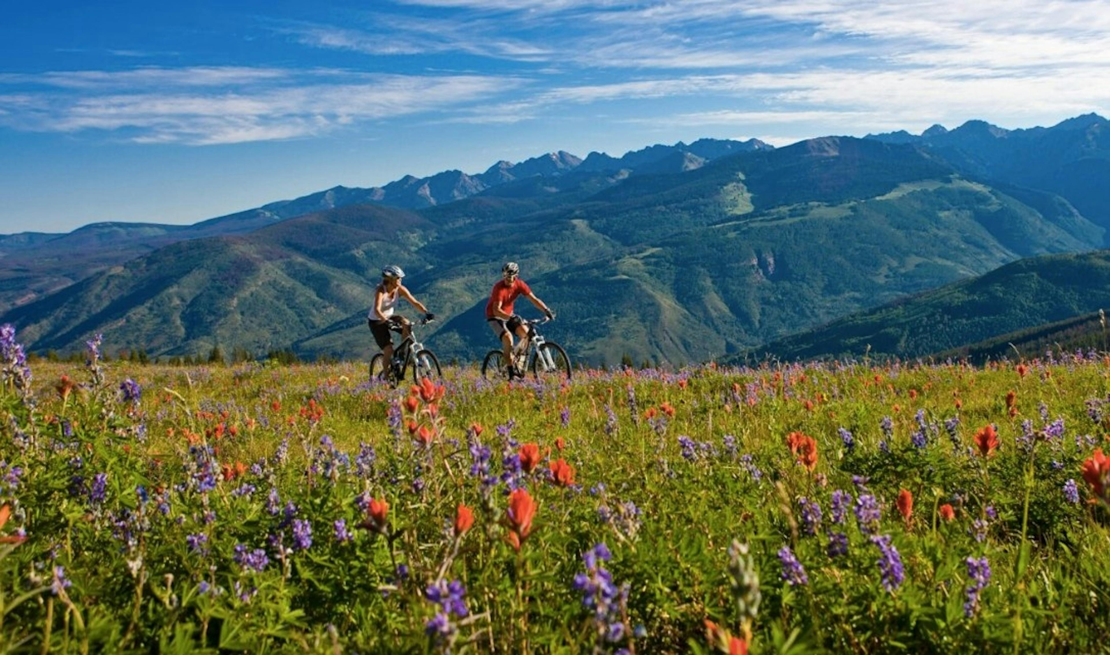 a couple mountain biking a flat trail through a field of wildflowers surrounded by alpine mountains