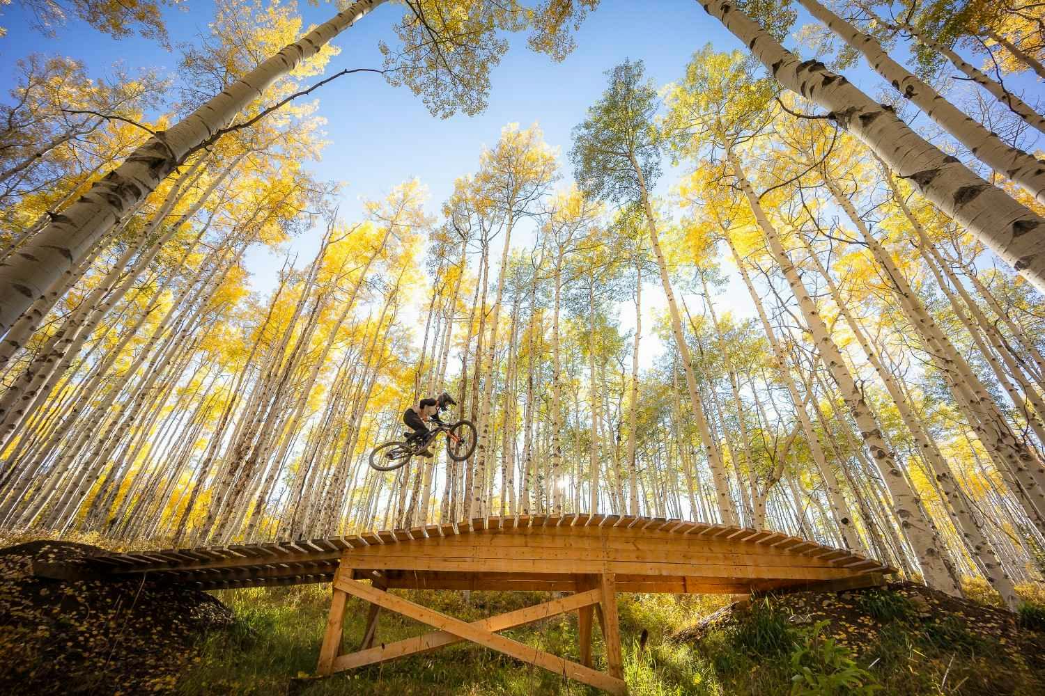 A mountain biker gets air on a wood feature at Aspen Snowmass Bike Park surrounded by yellow-leaved aspen trees