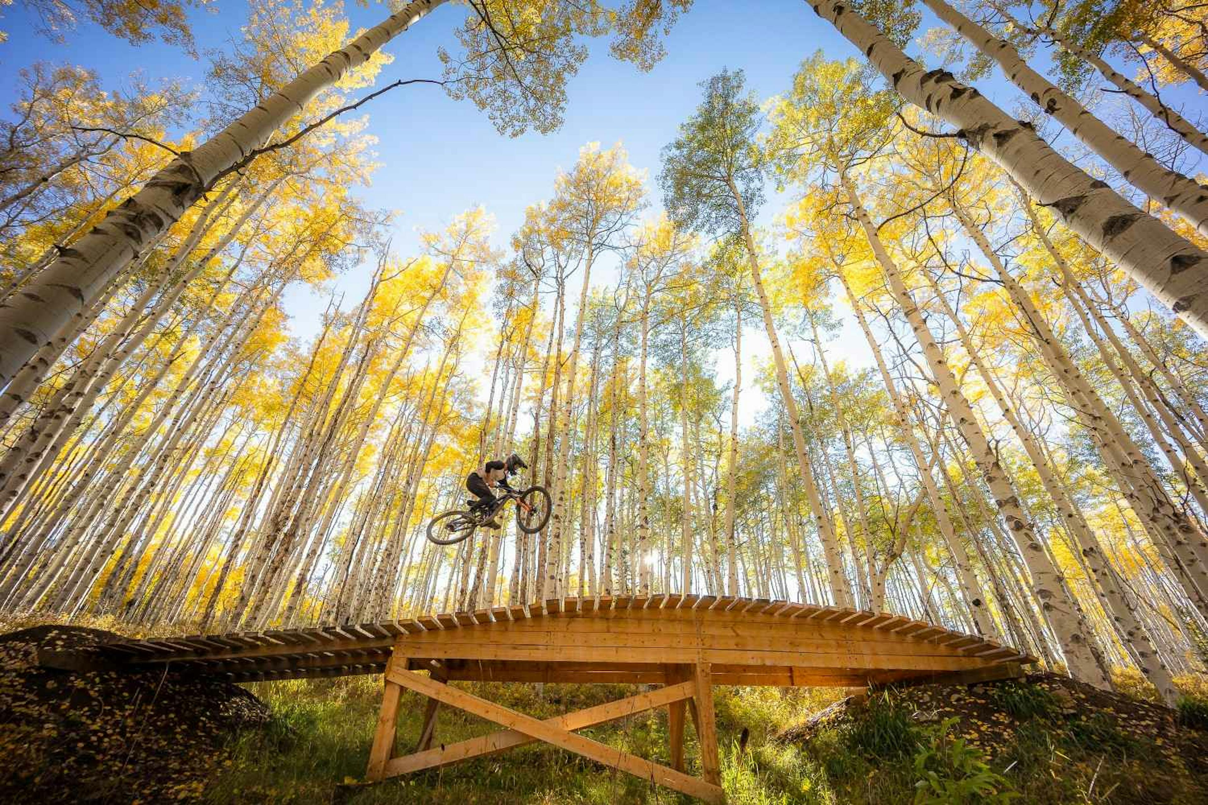 A mountain biker gets air on a wood feature at Aspen Snowmass Bike Park surrounded by yellow-leaved aspen trees