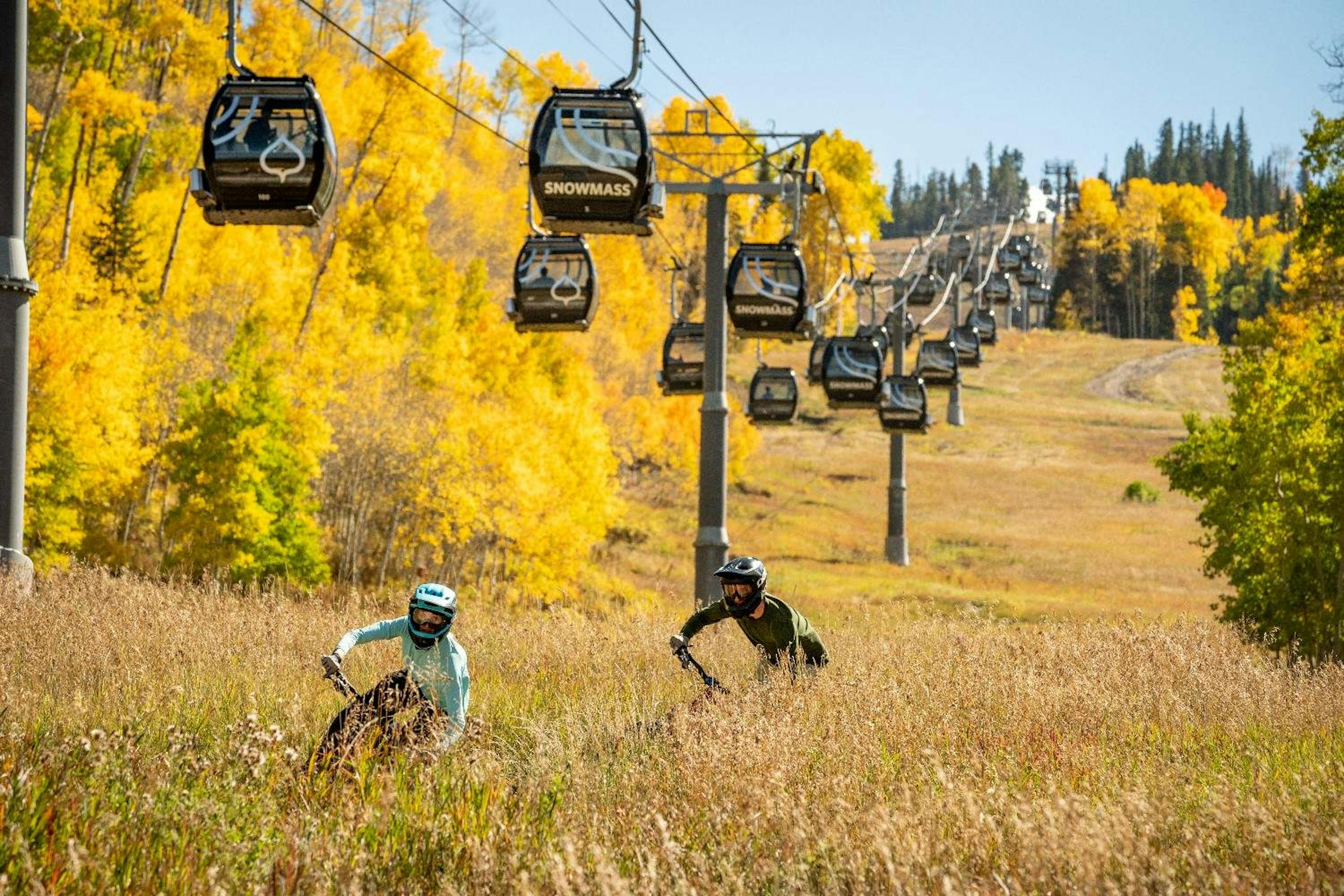 Two mountain bikers riding on a bike trail under the gondola, surrounded by yellow-leaved trees at Aspen Snowmass Bike Park