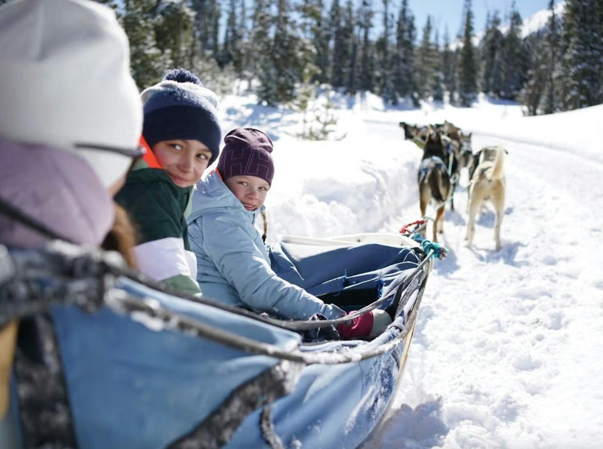 Two kids in a dog sled look back at the mom as they are pulled along the snow by a group of dogs