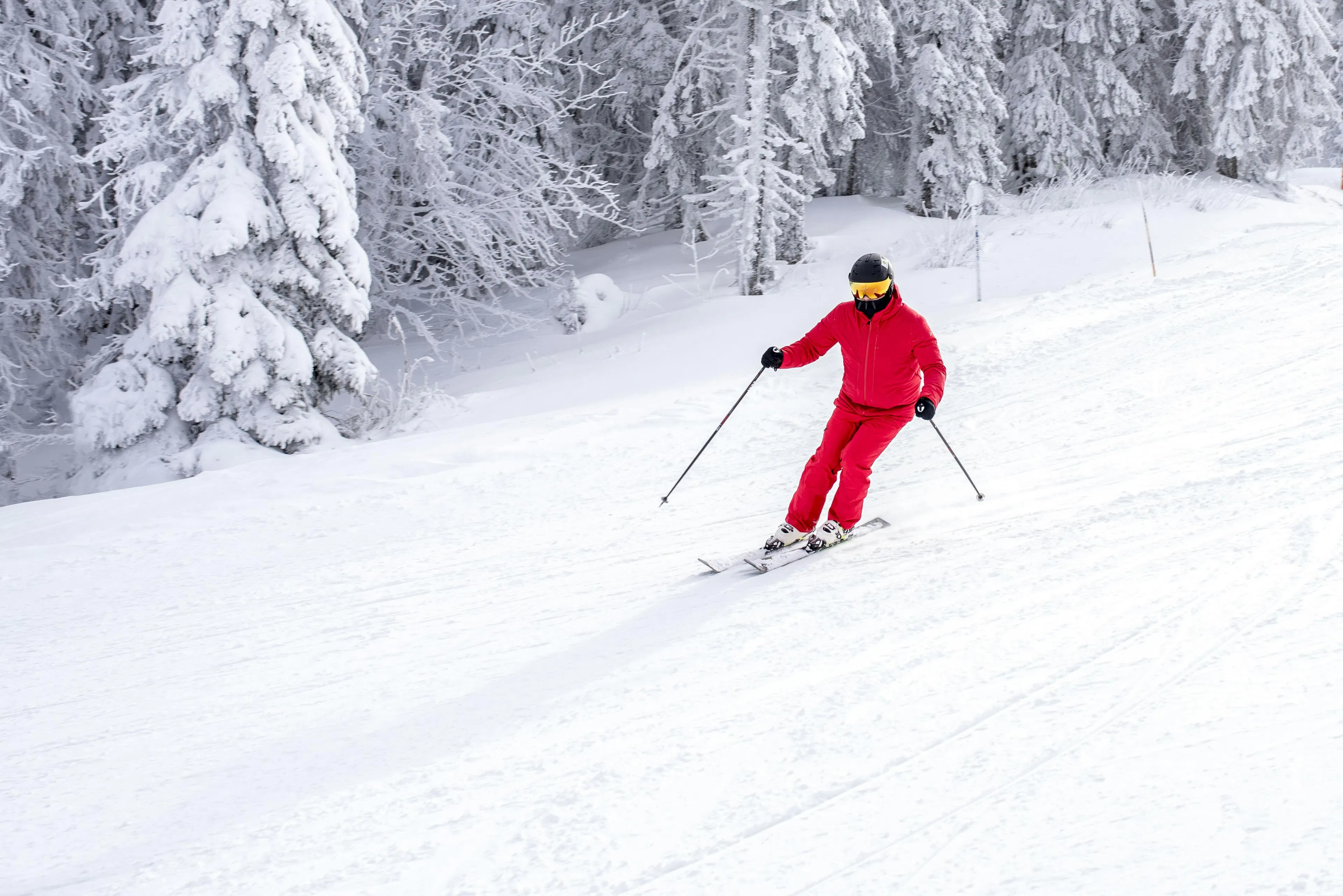 steamboat mountain reviews