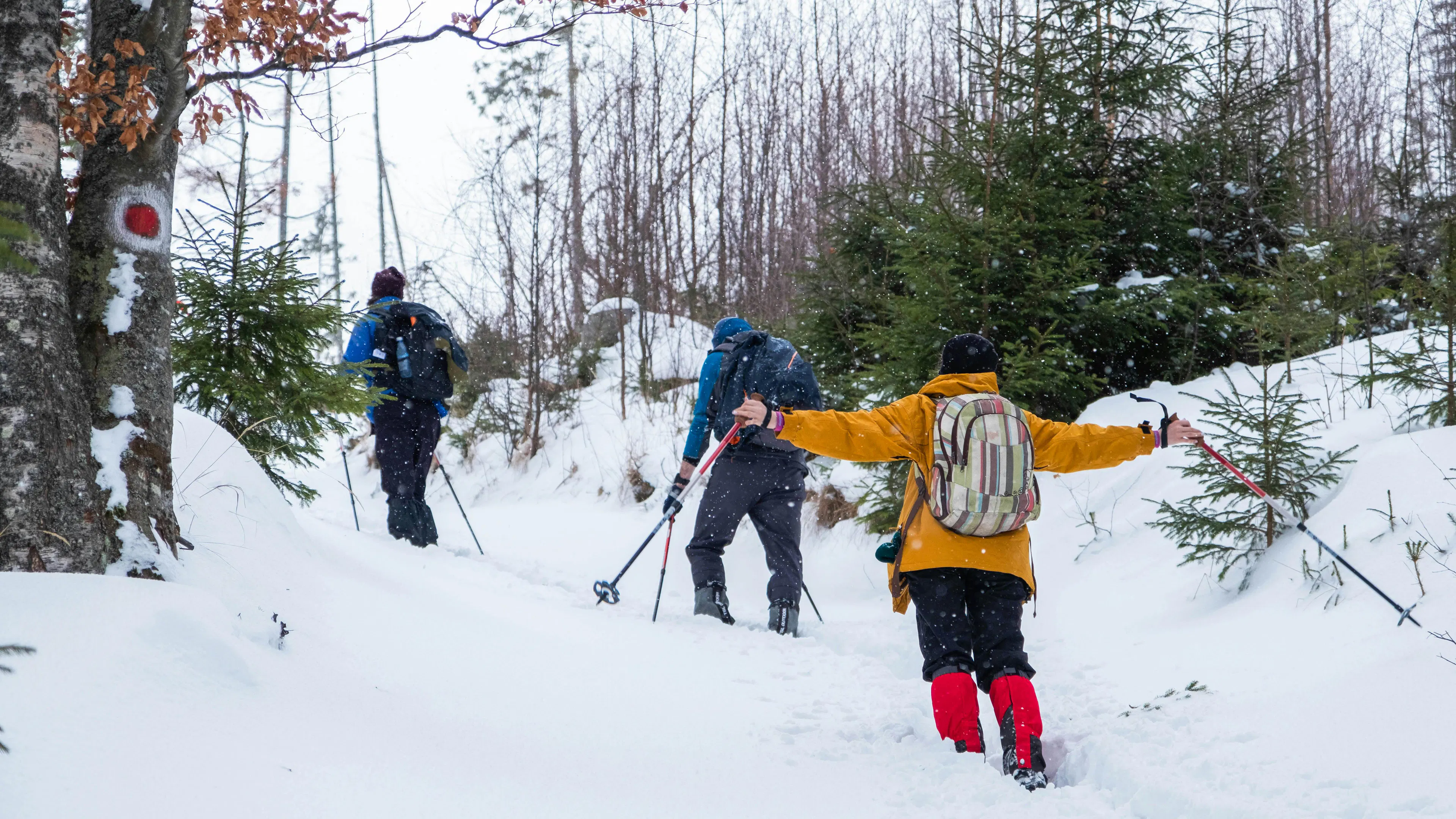 steamboat springs for non-skiers
