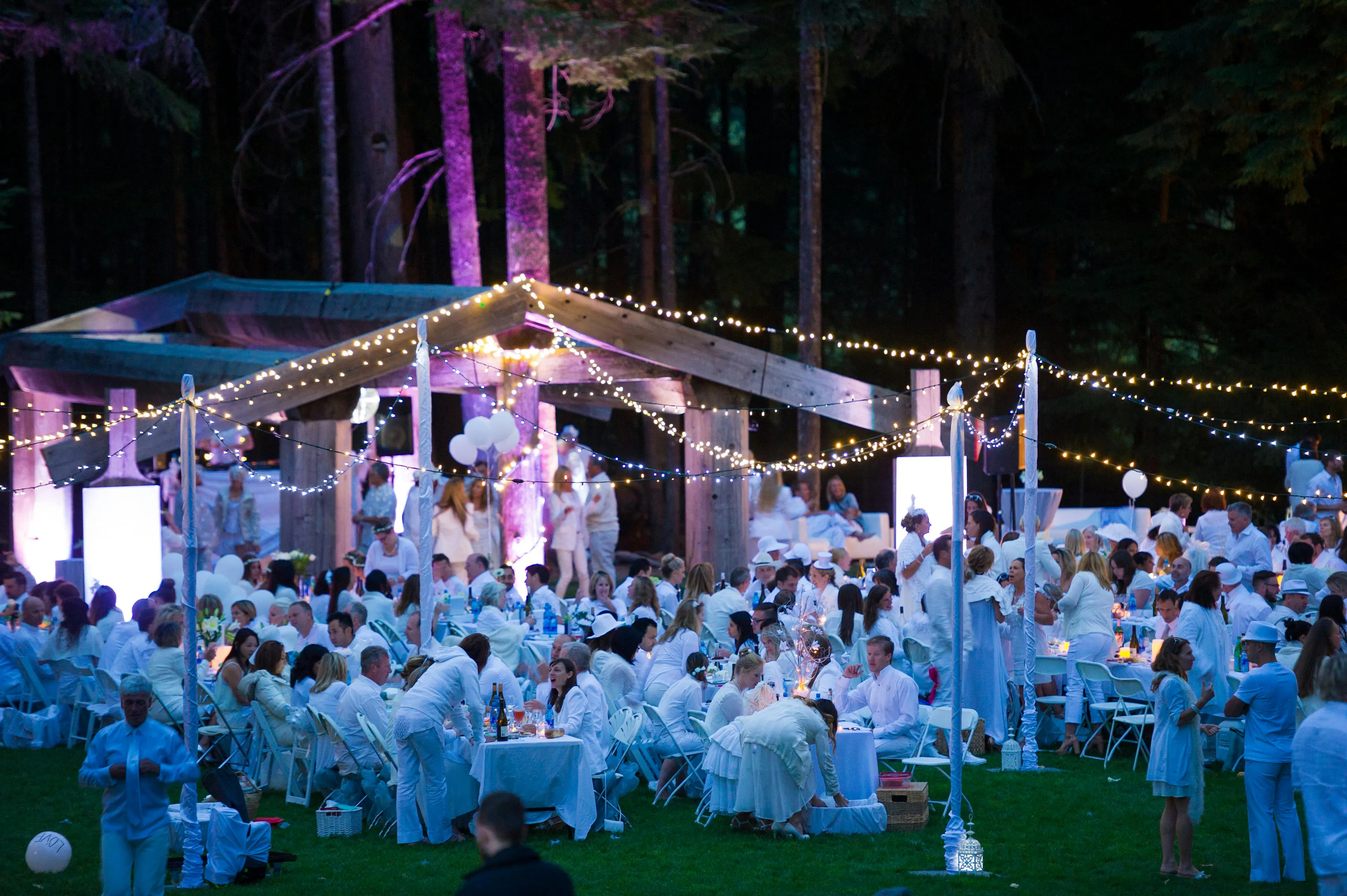 Whistler wedding guide