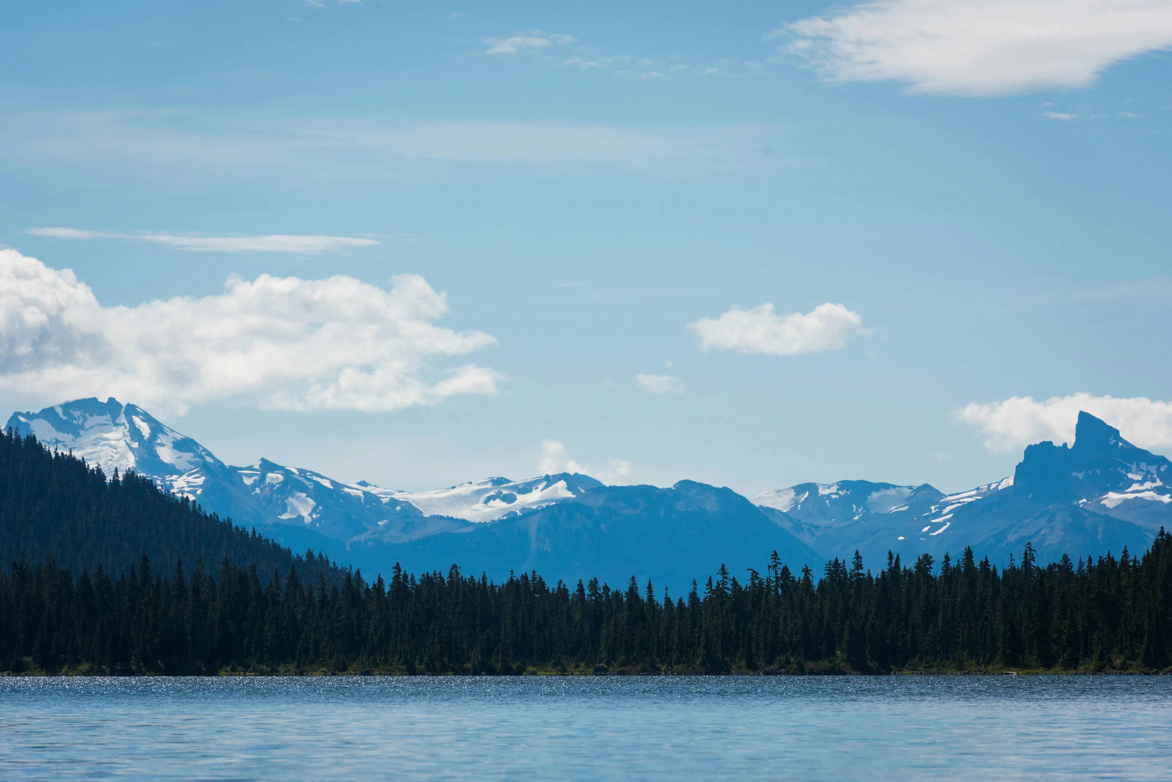 Wildlife at Whistler
