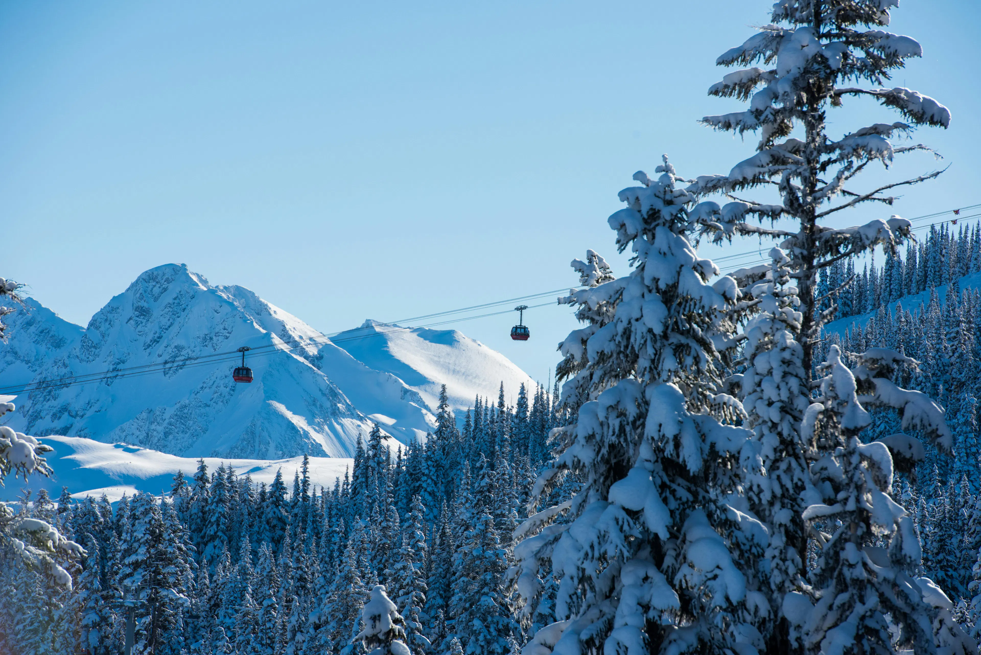 Whistler history