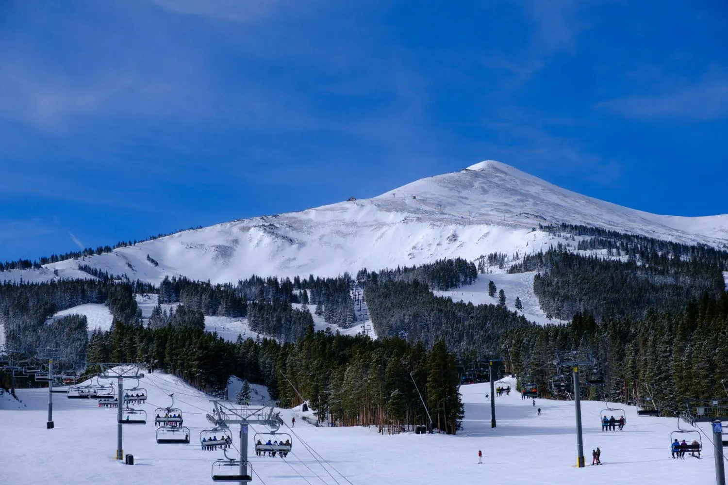 Landscape of ropeways surrounded by hills and forests covered in the snow under a blue sky