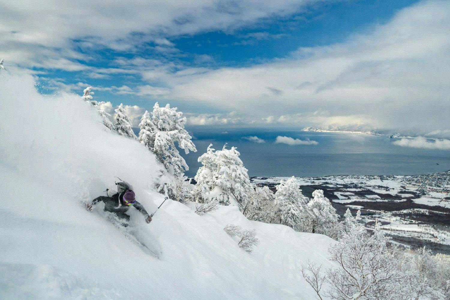 Skier skiing down powder at Niseko Resort in Japan