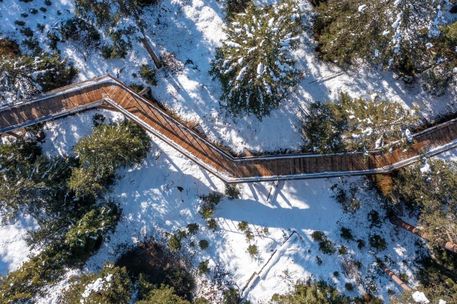 Aerial view of Senda dil Dragun treetop walkway in Switzerland