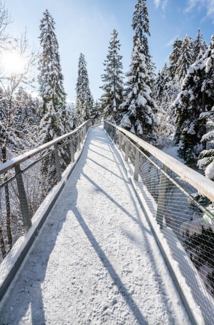 POV walking on the lightly snow-covered Senda dil Dragun treetop walkway on a sunny day surrounded by snowy trees