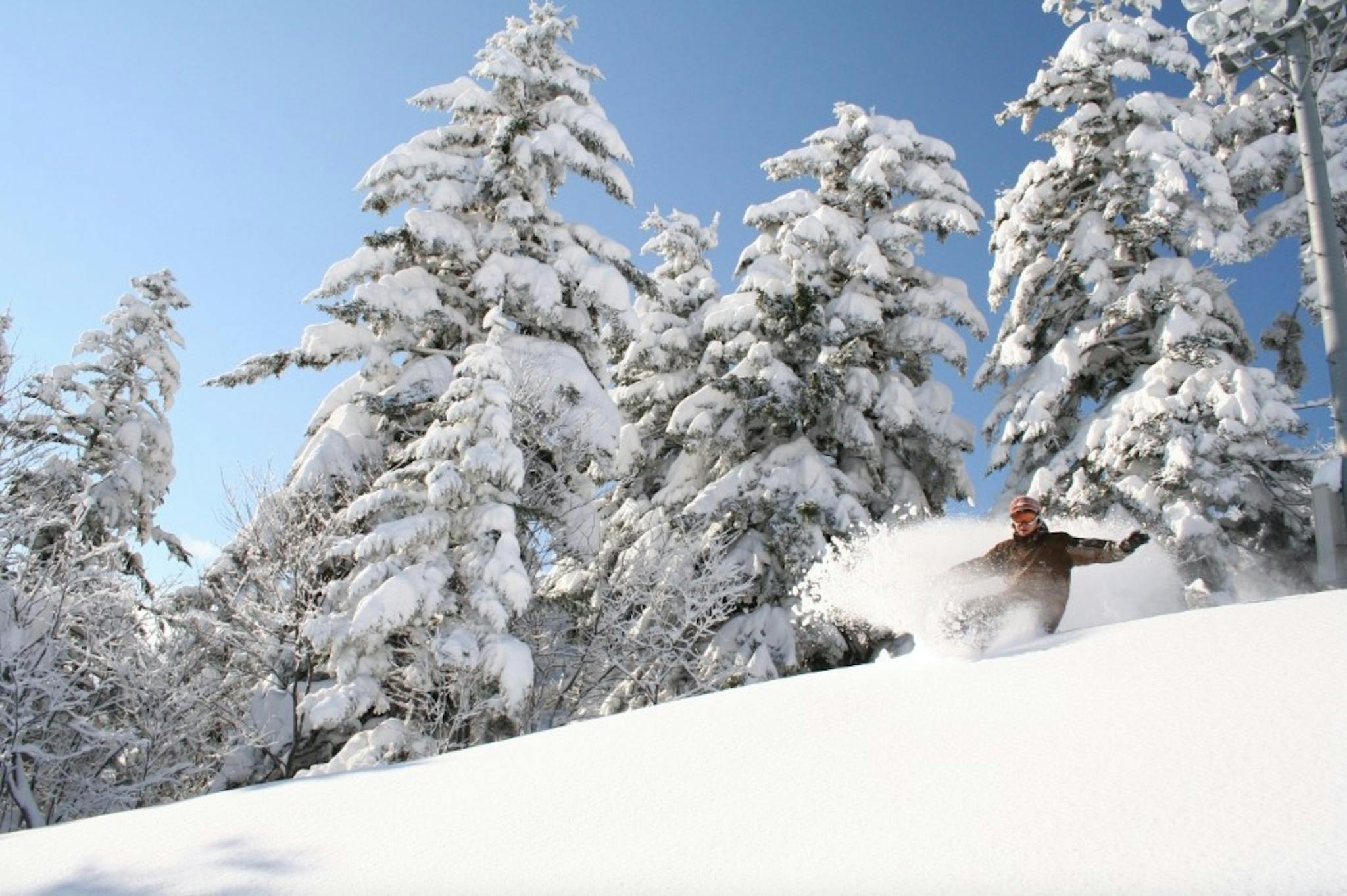 Snowboarder sprays powder as they ride down a run at Furano resort on a bluebird day
